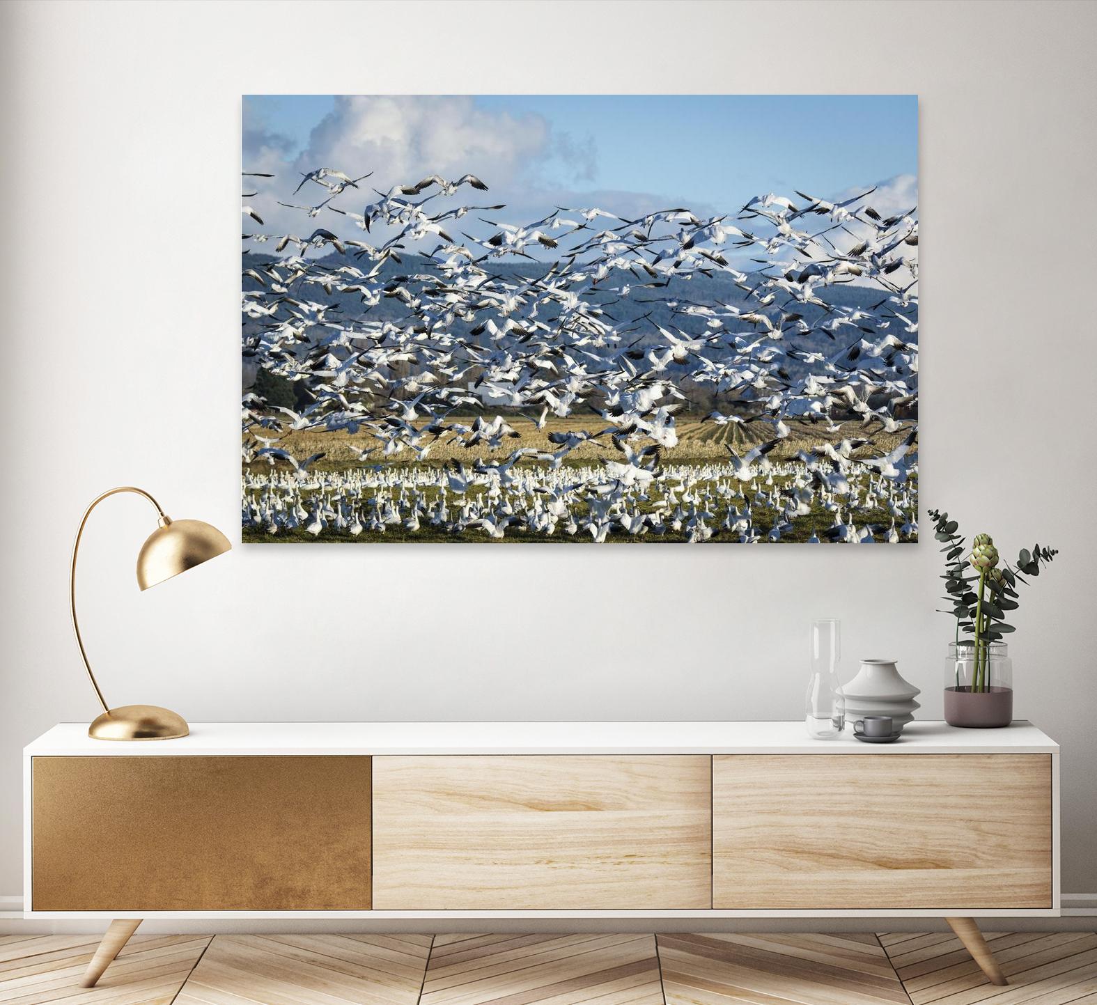 Takeoff by Nancy Crowell on GIANT ART - beige landscape