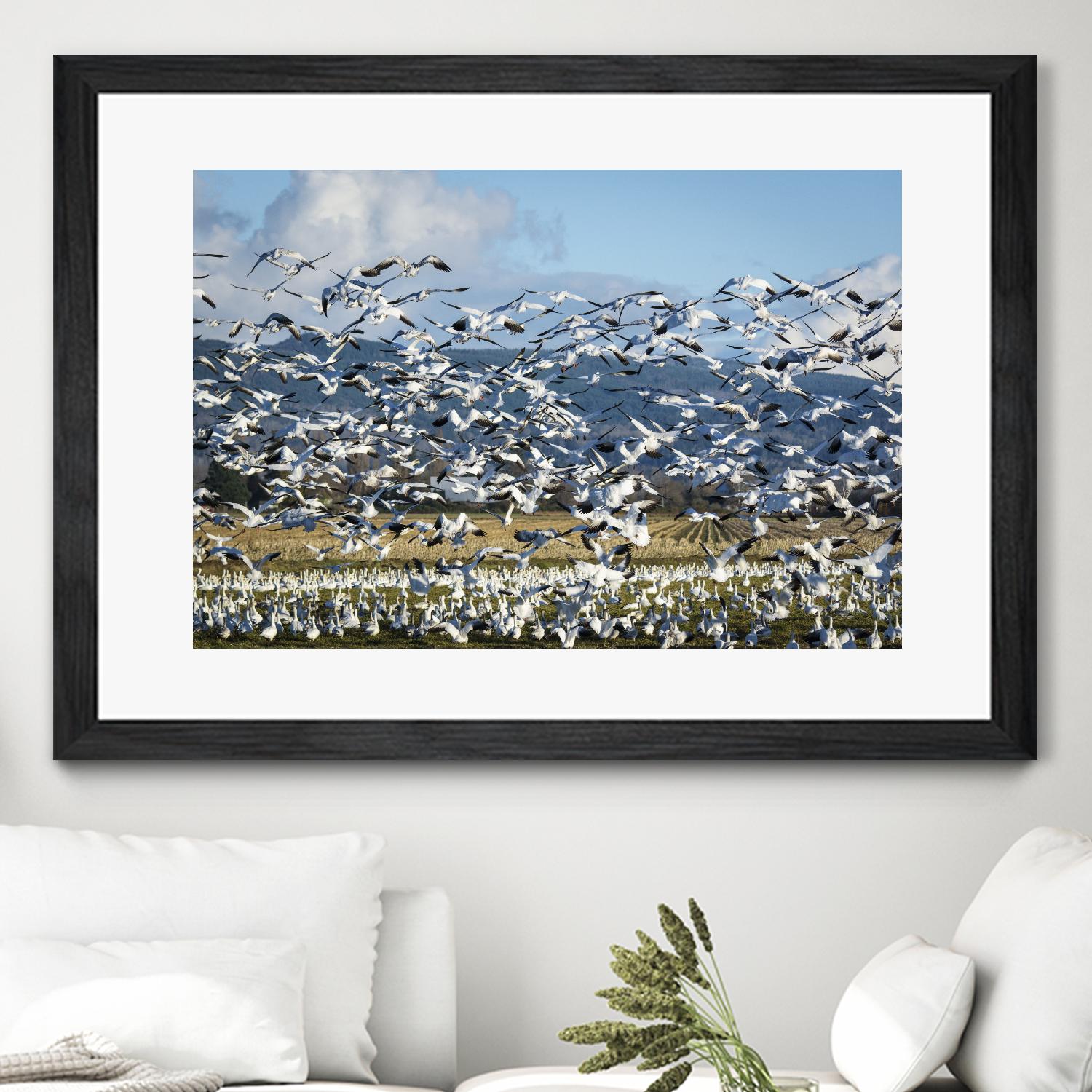 Takeoff by Nancy Crowell on GIANT ART - beige landscape