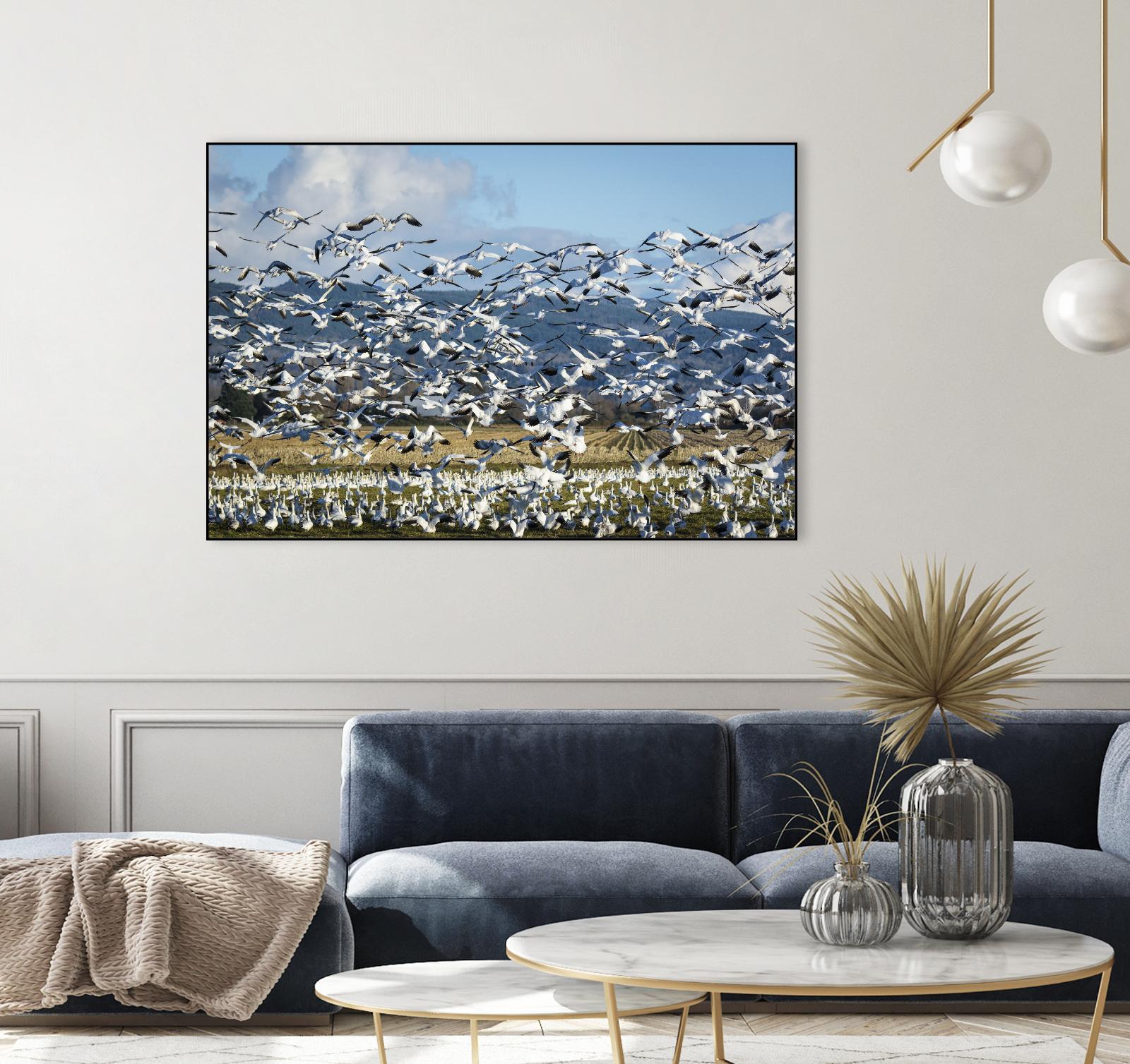 Takeoff by Nancy Crowell on GIANT ART - beige landscape