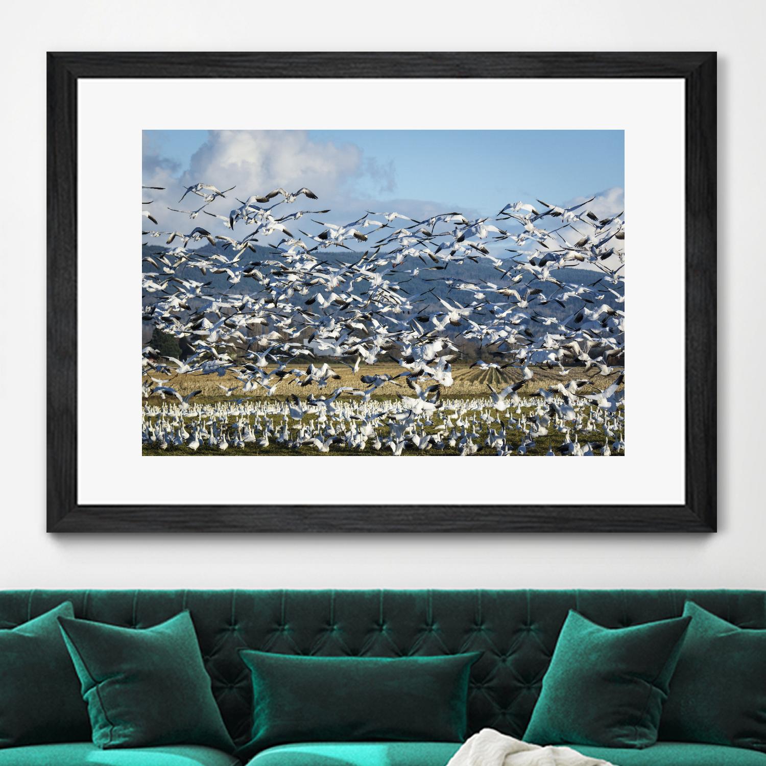 Takeoff by Nancy Crowell on GIANT ART - beige landscape