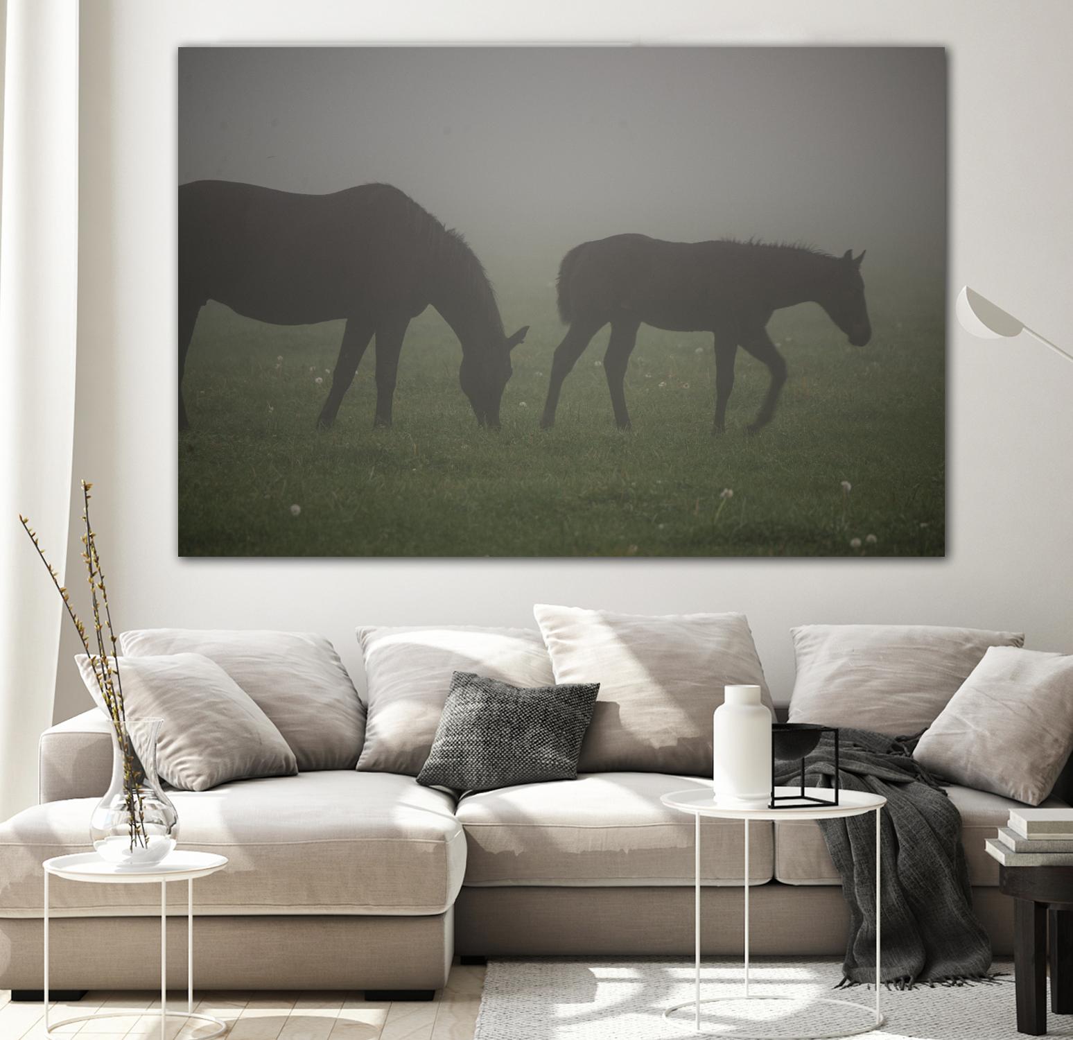 Photograph 3 by Nancy Crowell on GIANT ART - grey animals