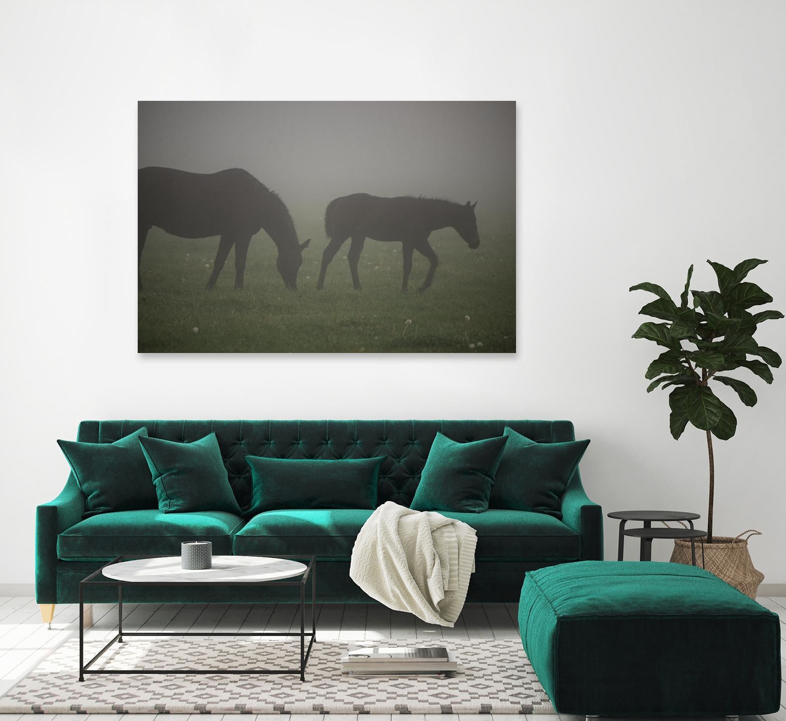 Photograph 3 by Nancy Crowell on GIANT ART - grey animals