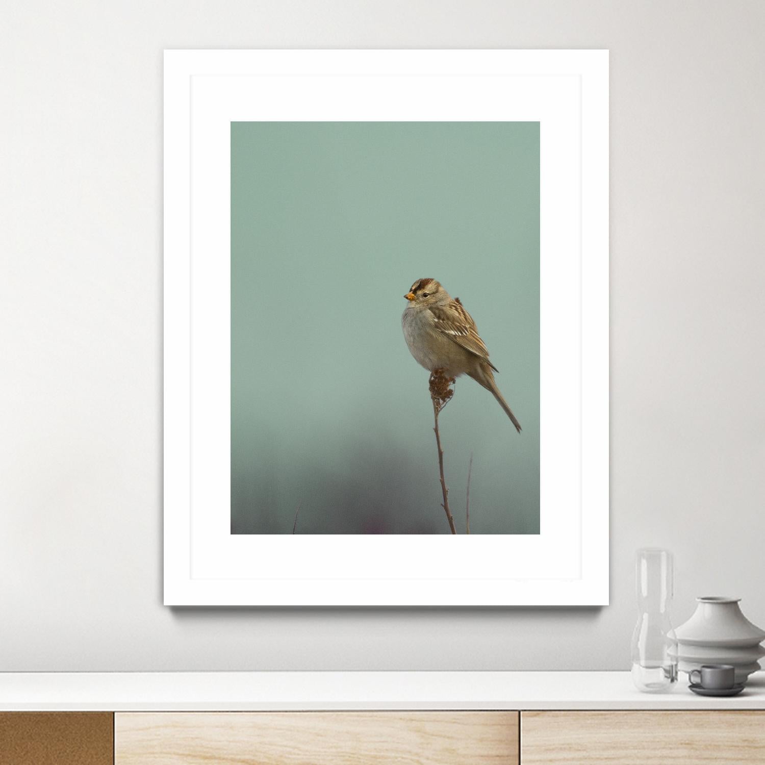 Perch by Nancy Crowell on GIANT ART - greens birds