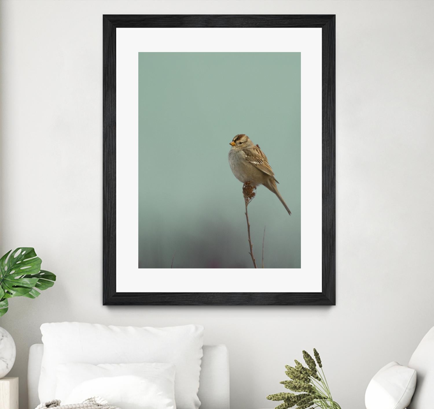 Perch by Nancy Crowell on GIANT ART - greens birds