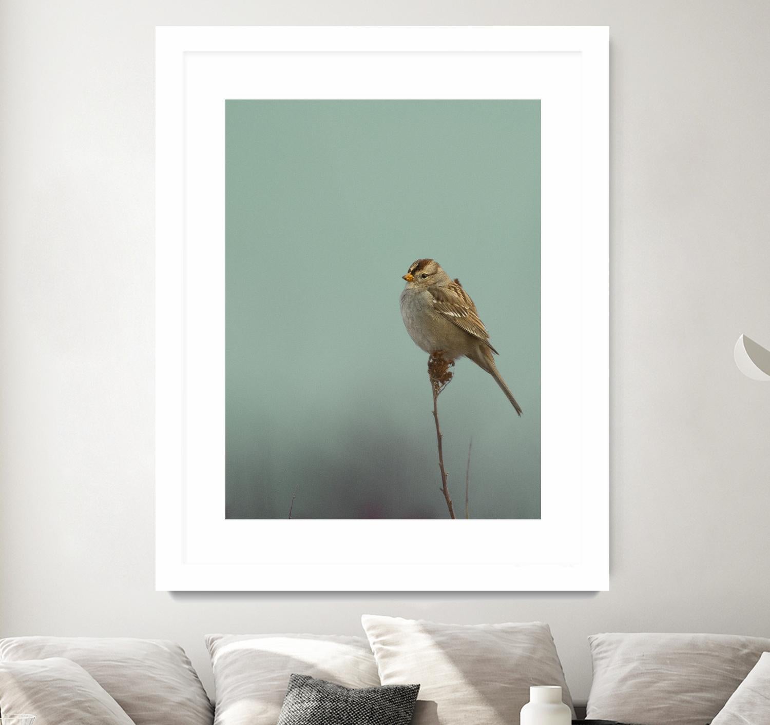 Perch by Nancy Crowell on GIANT ART - greens birds