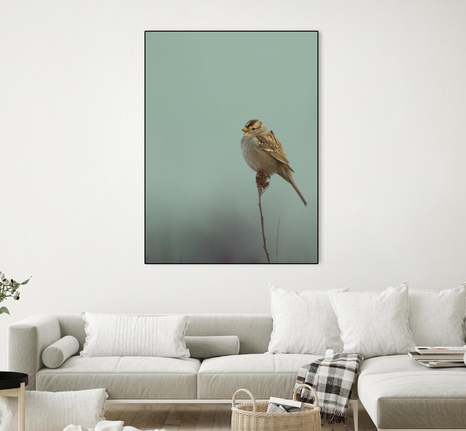 Perch by Nancy Crowell on GIANT ART - greens birds