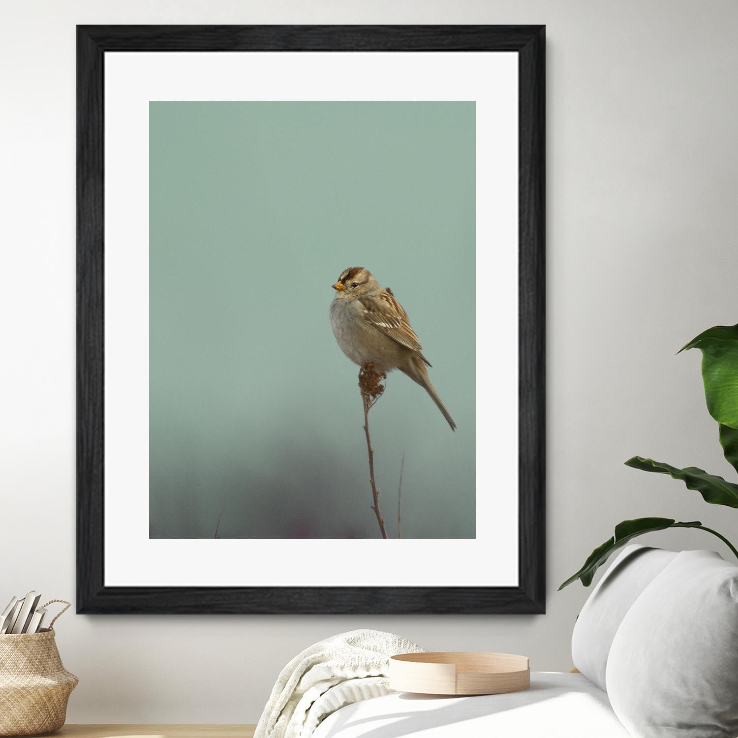 Perch by Nancy Crowell on GIANT ART - greens birds