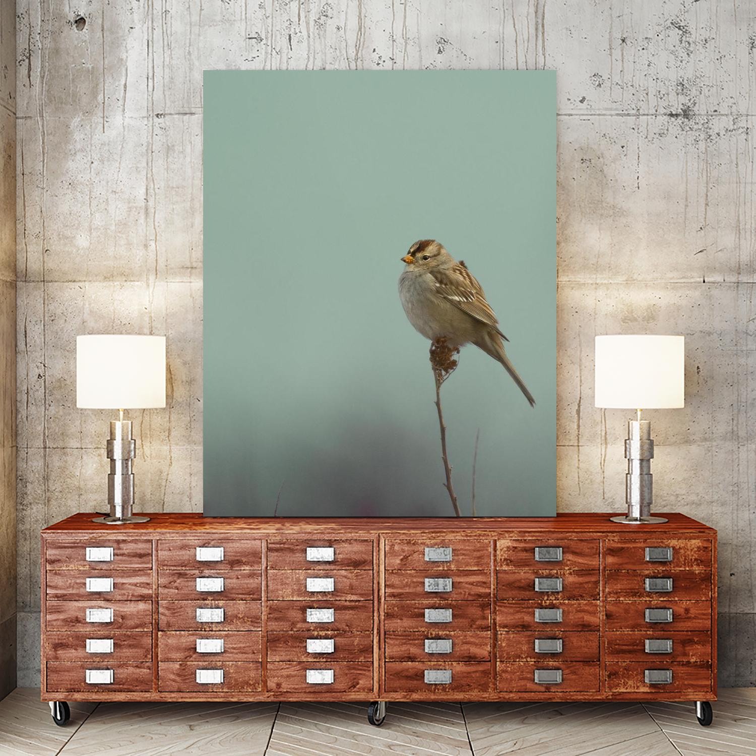 Perch by Nancy Crowell on GIANT ART - greens birds