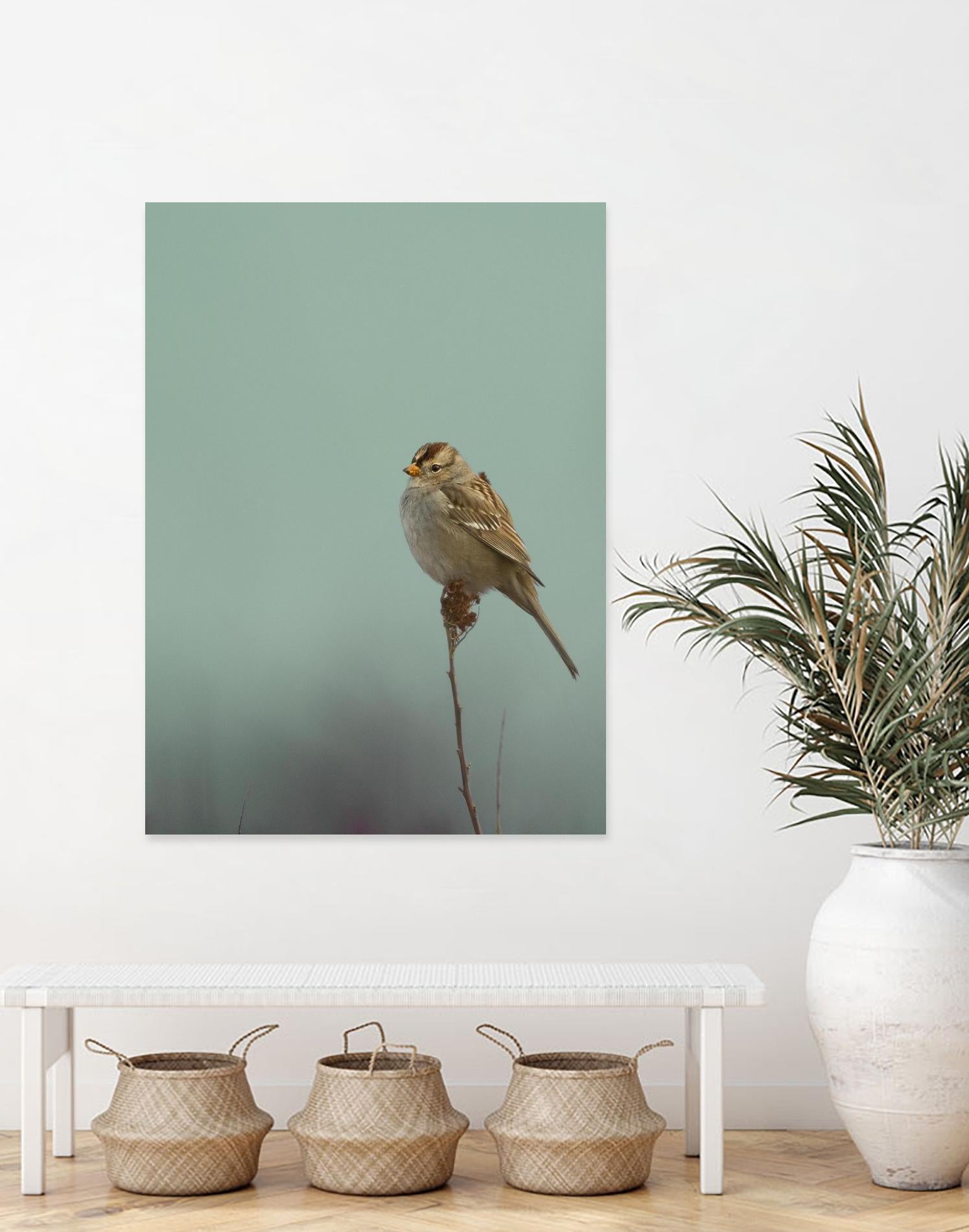 Perch by Nancy Crowell on GIANT ART - greens birds