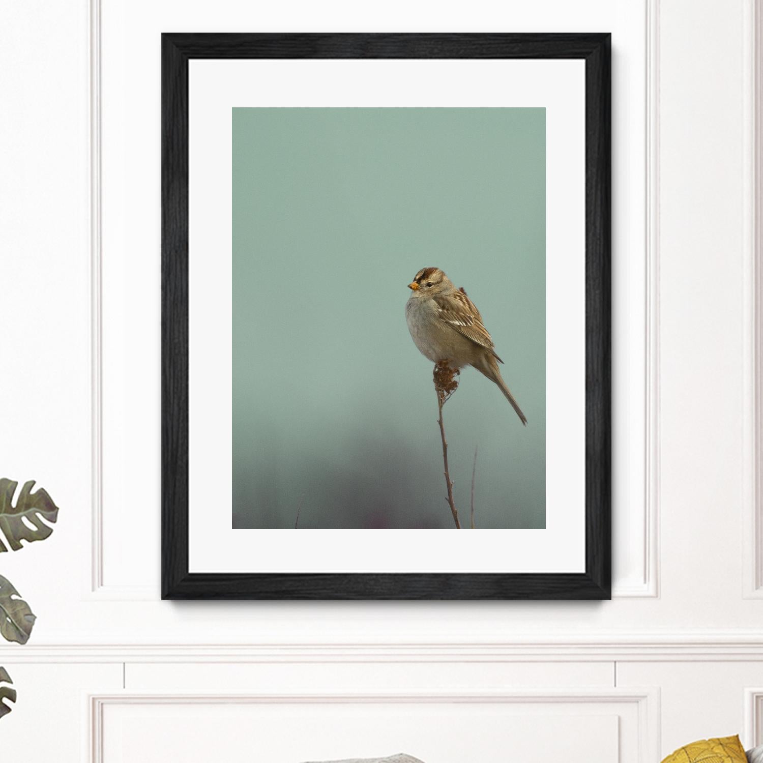 Perch by Nancy Crowell on GIANT ART - greens birds