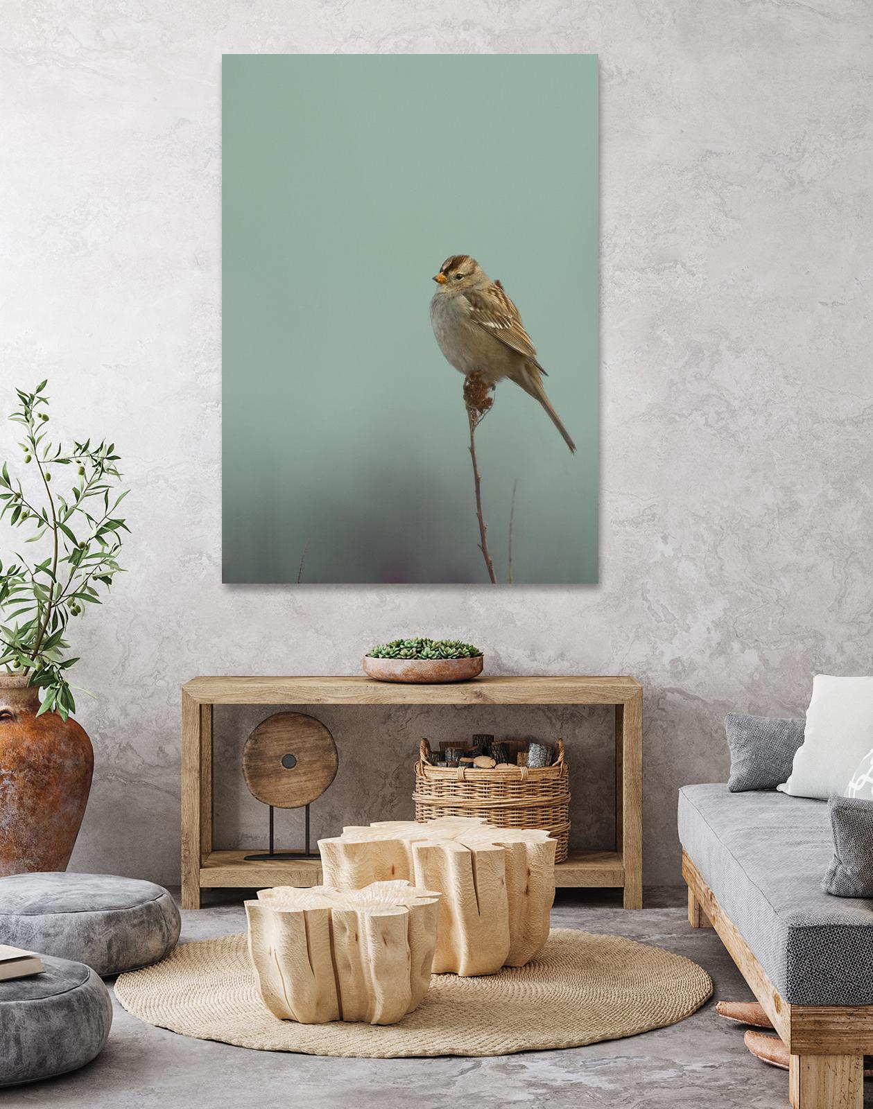 Perch by Nancy Crowell on GIANT ART - greens birds