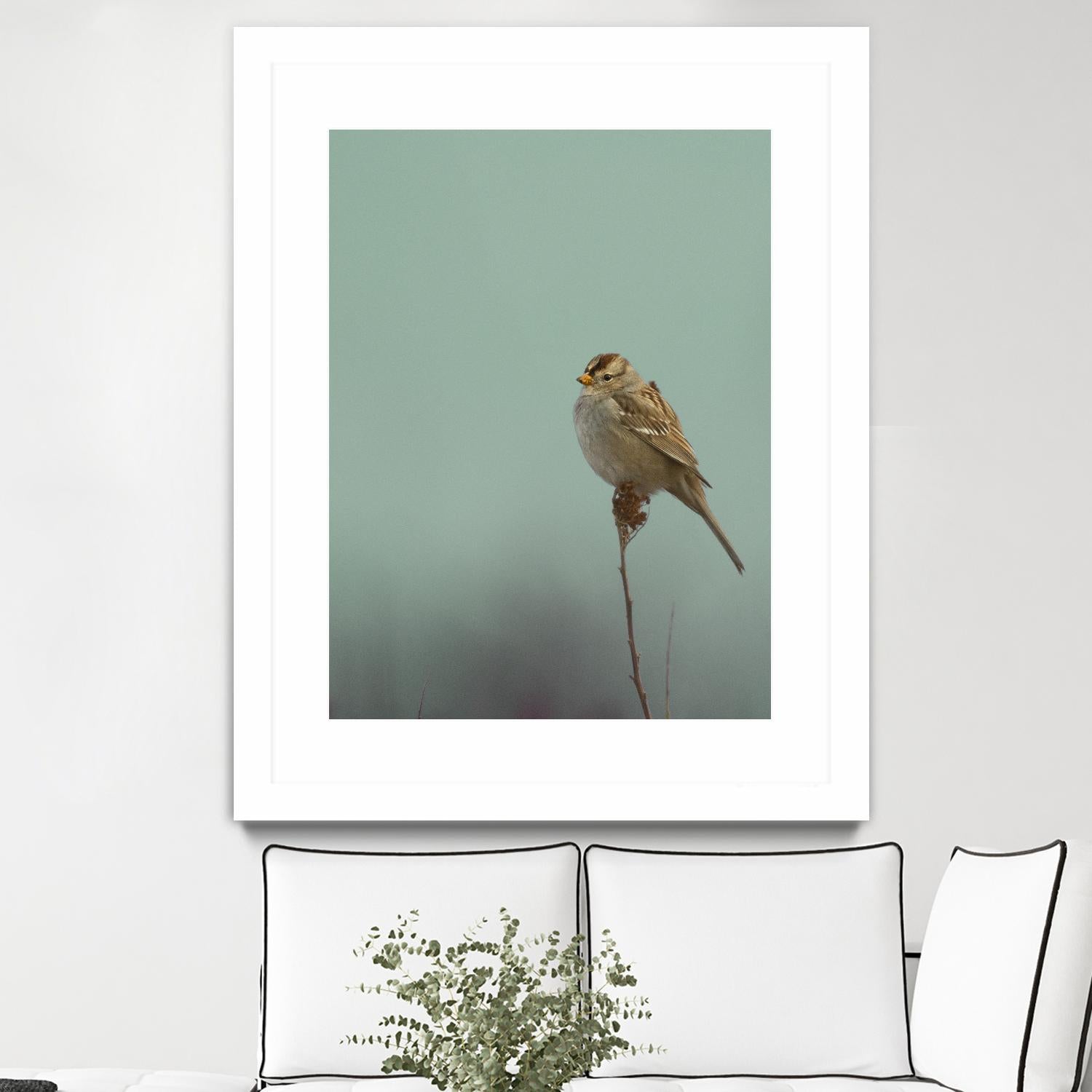 Perch by Nancy Crowell on GIANT ART - greens birds