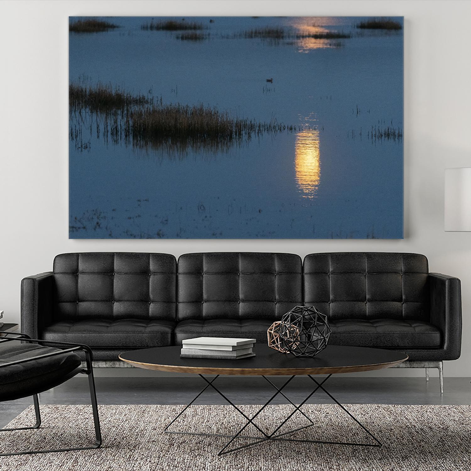 Wetland Moonlight by Nancy Crowell on GIANT ART - scenic
