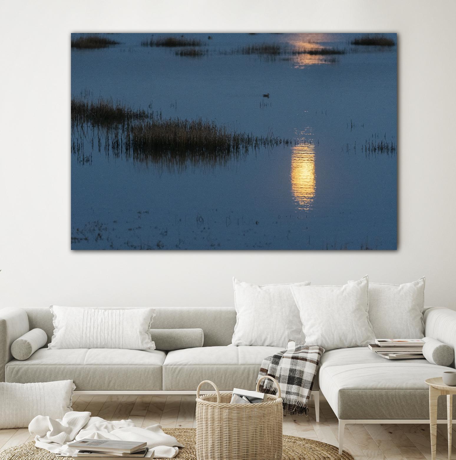 Wetland Moonlight by Nancy Crowell on GIANT ART - scenic
