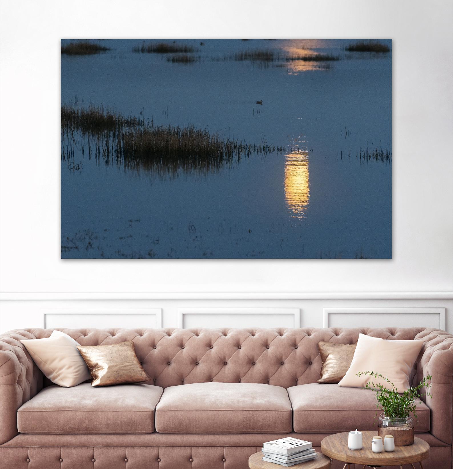Wetland Moonlight by Nancy Crowell on GIANT ART - scenic