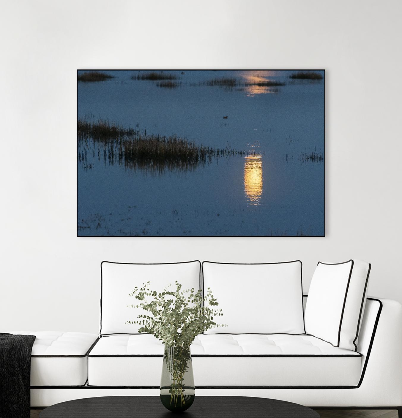 Wetland Moonlight by Nancy Crowell on GIANT ART - scenic