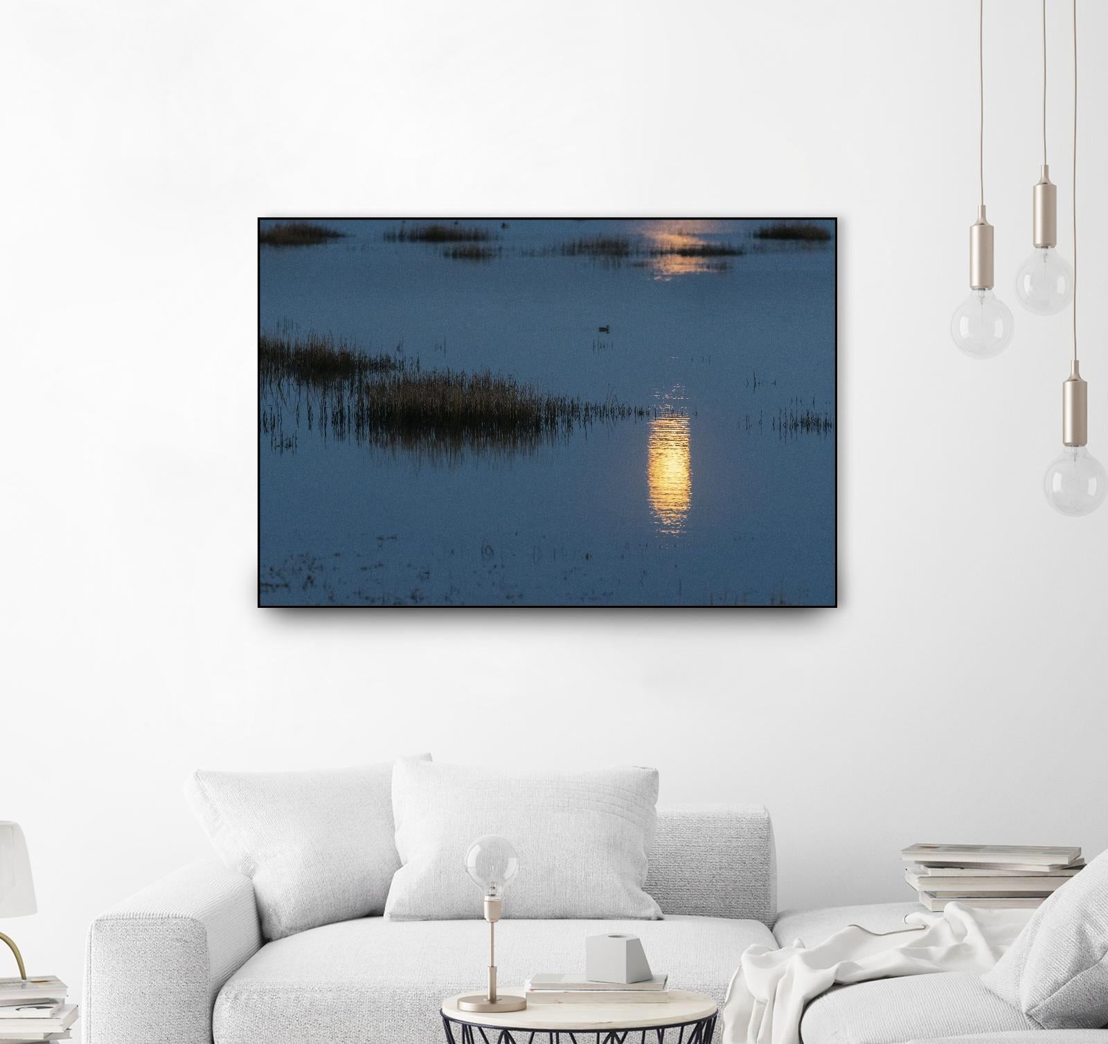 Wetland Moonlight by Nancy Crowell on GIANT ART - scenic