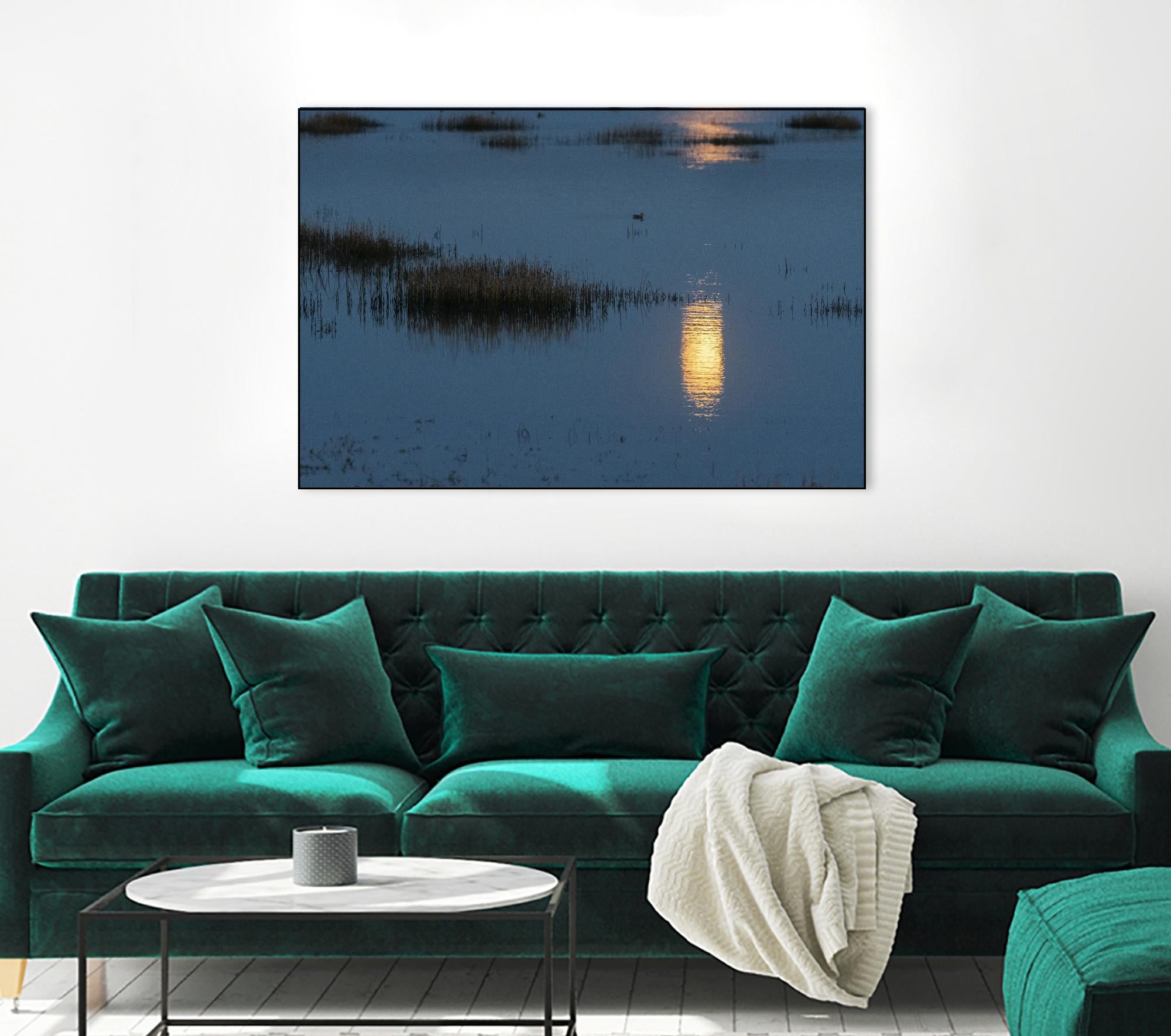 Wetland Moonlight by Nancy Crowell on GIANT ART - scenic