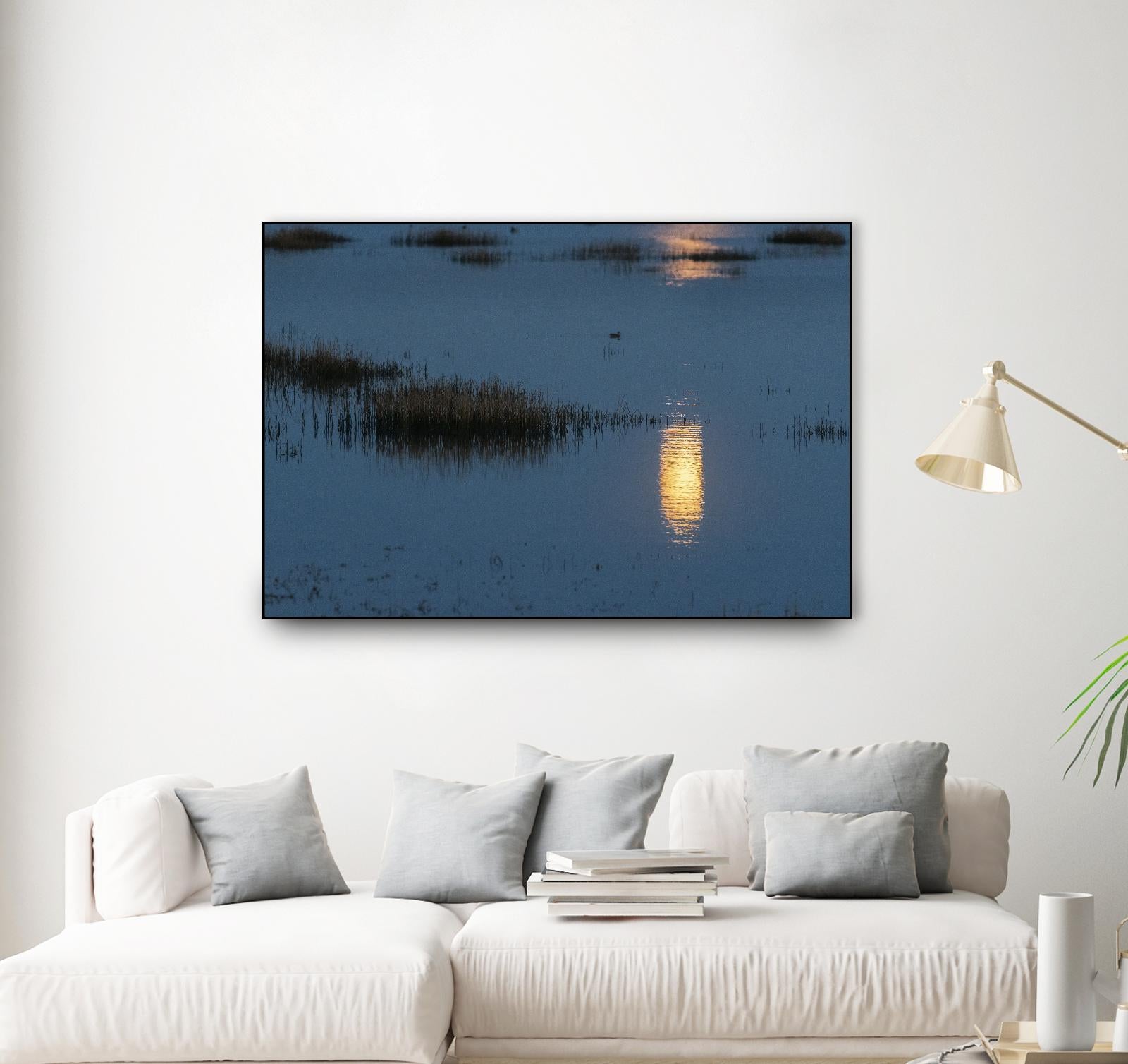 Wetland Moonlight by Nancy Crowell on GIANT ART - scenic