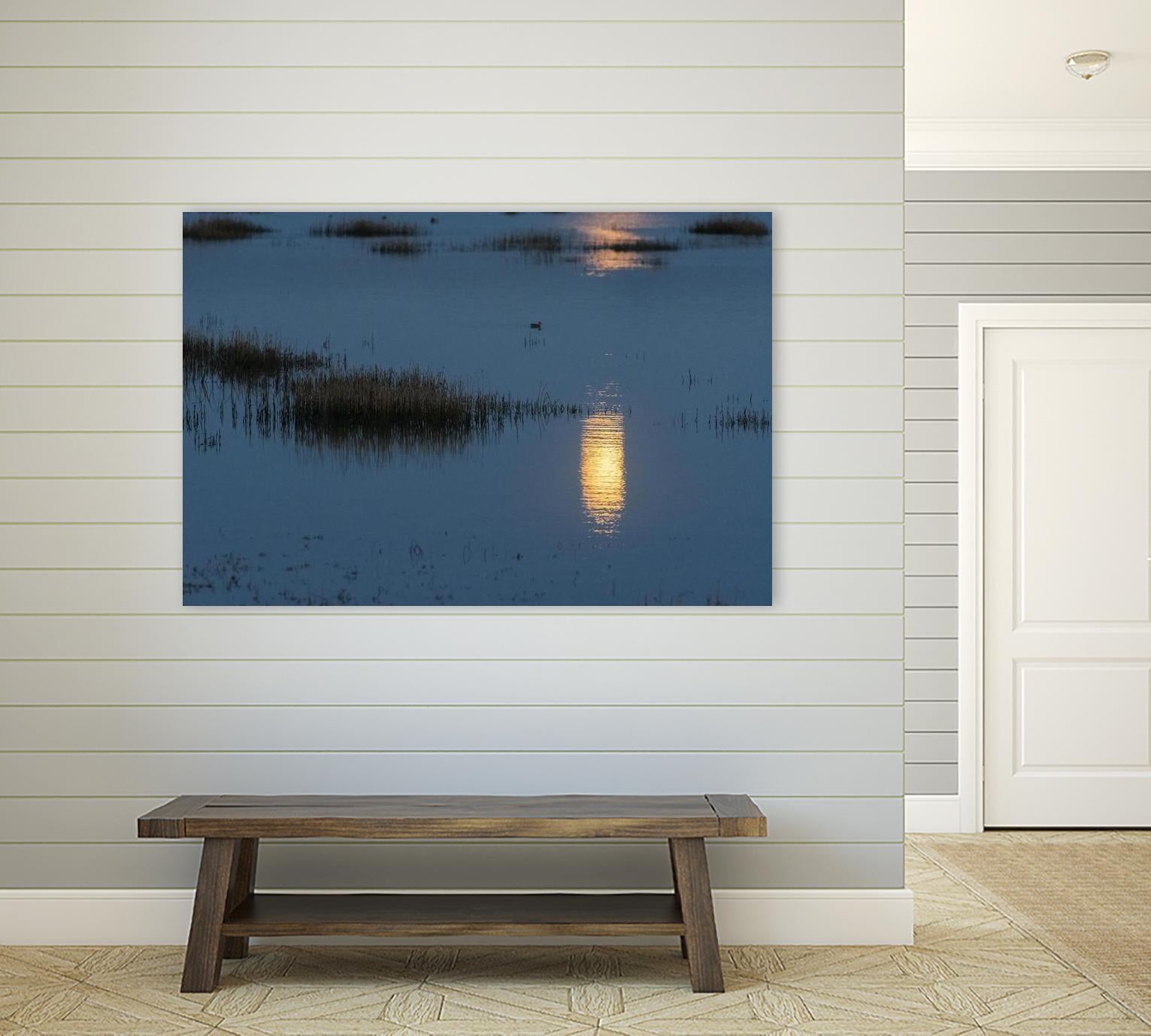 Wetland Moonlight by Nancy Crowell on GIANT ART - scenic