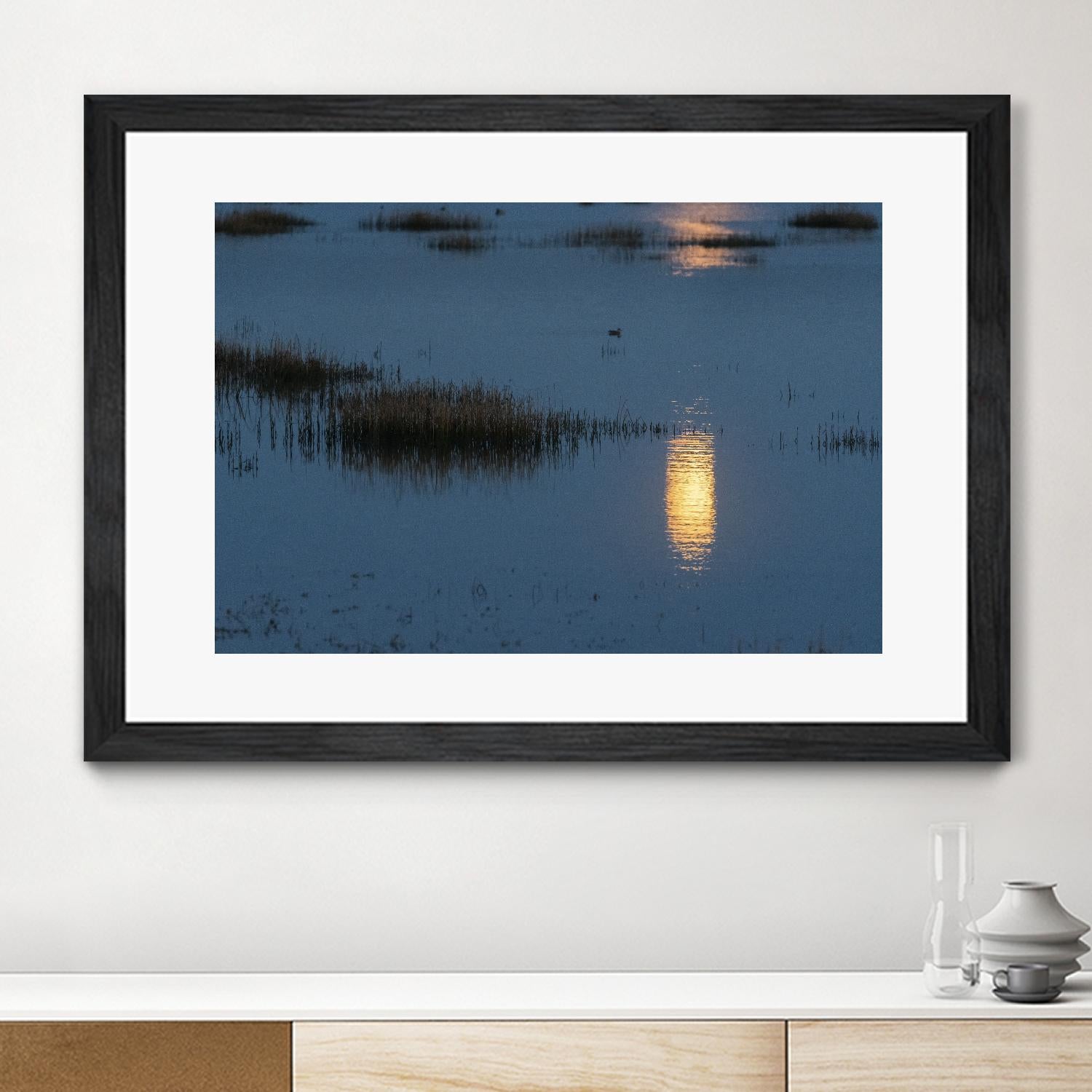 Wetland Moonlight by Nancy Crowell on GIANT ART - scenic