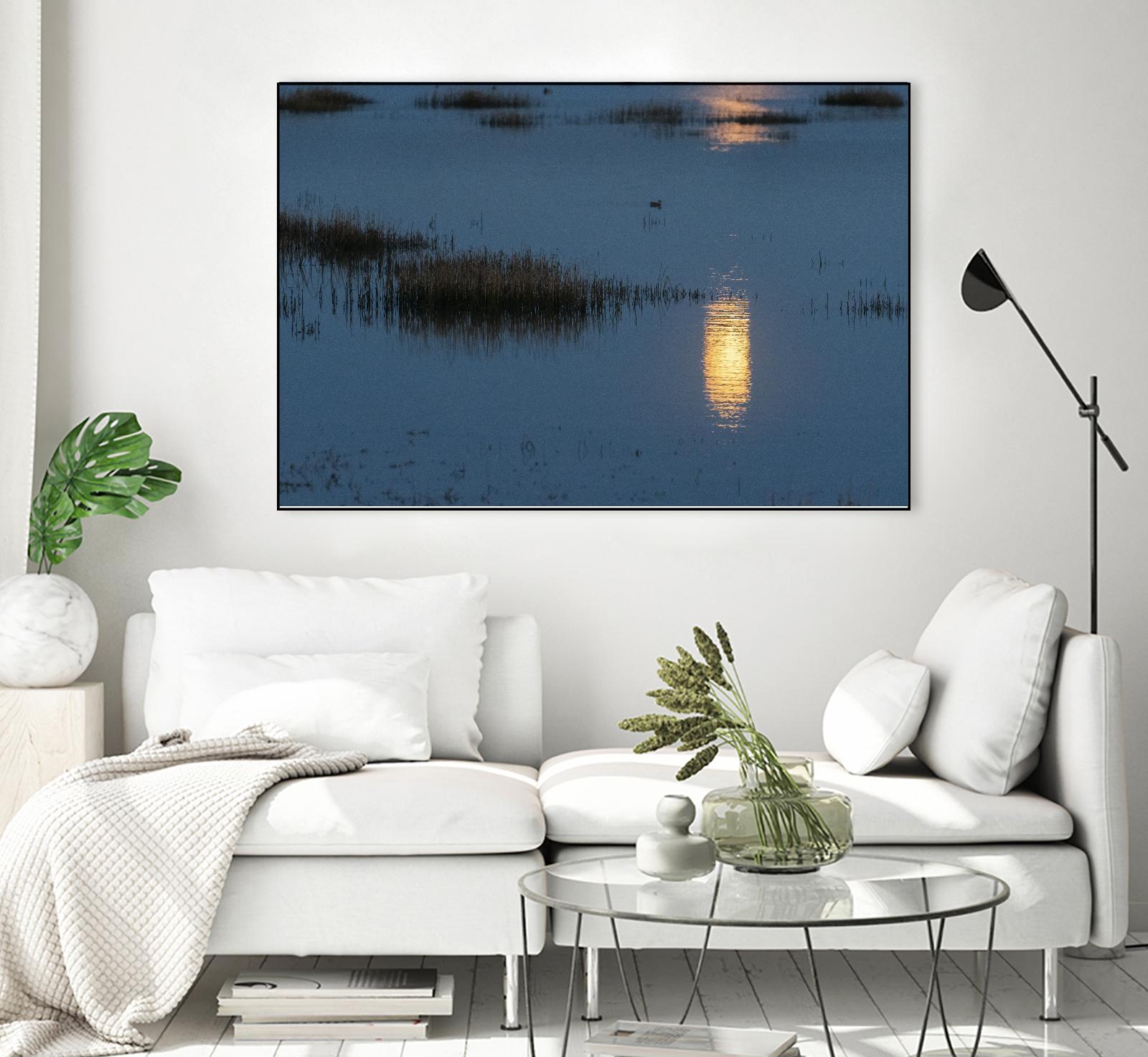 Wetland Moonlight by Nancy Crowell on GIANT ART - scenic