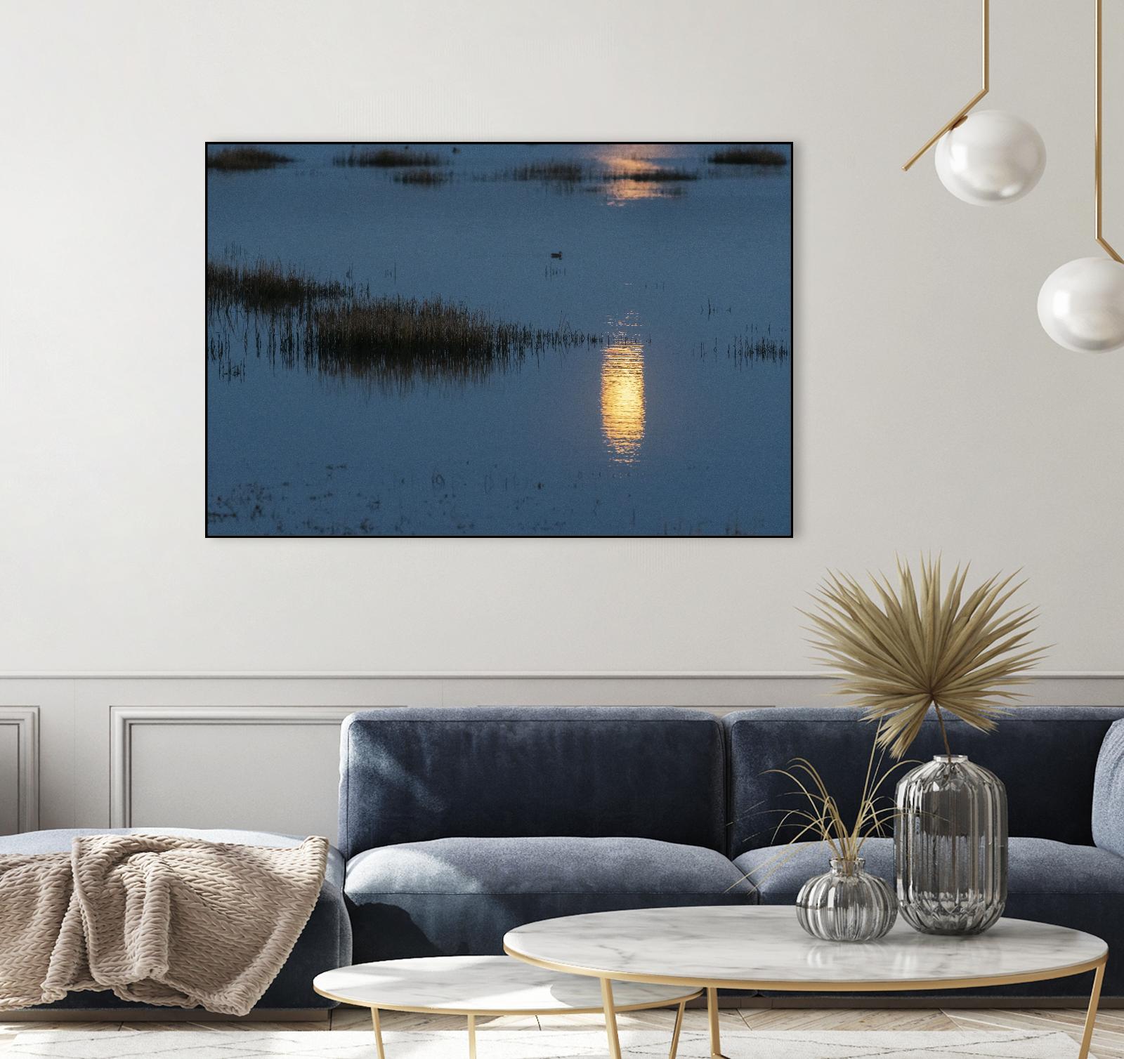 Wetland Moonlight by Nancy Crowell on GIANT ART - scenic