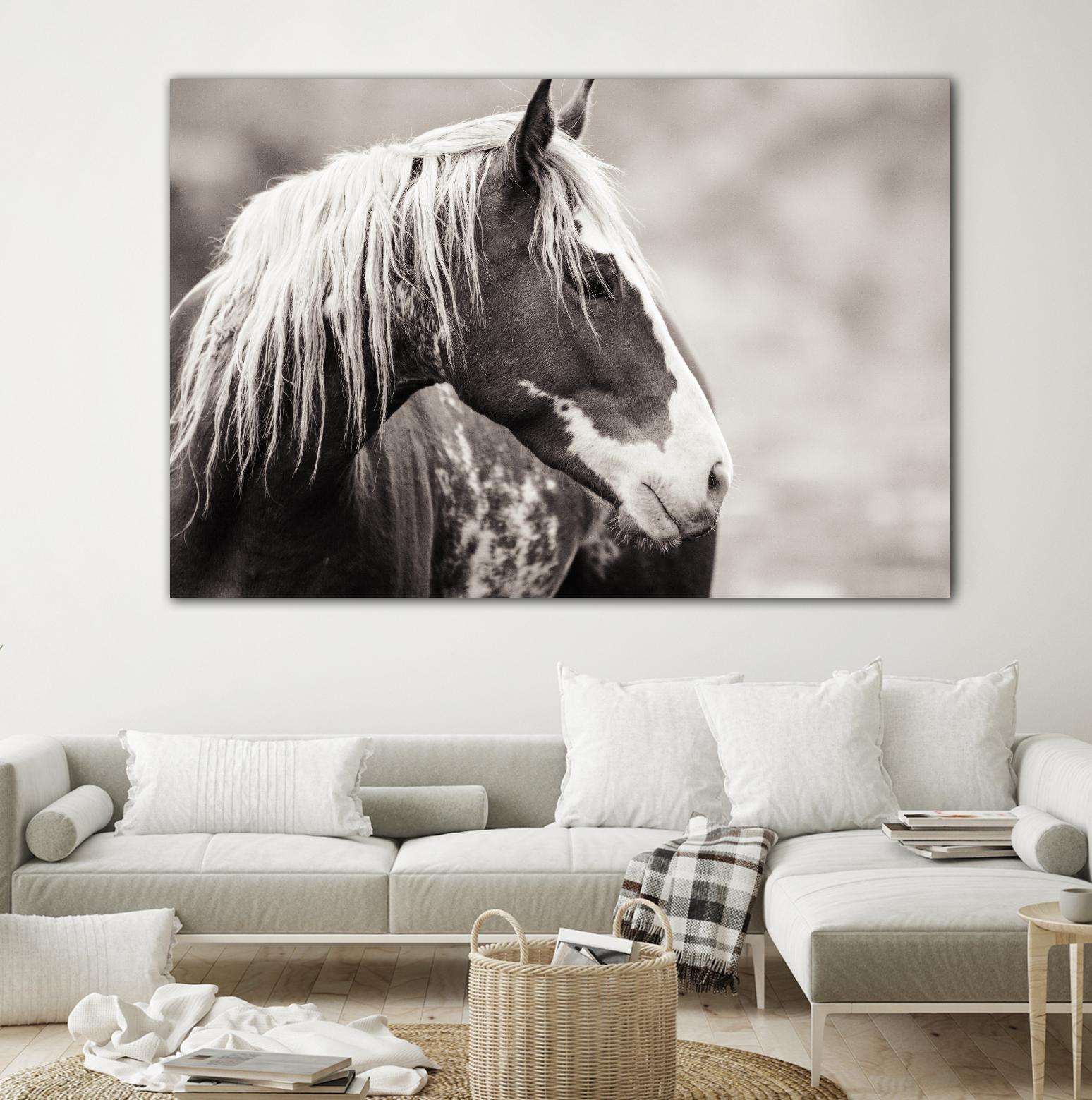 Wild Paint by Erle KaCee on GIANT ART - white animals