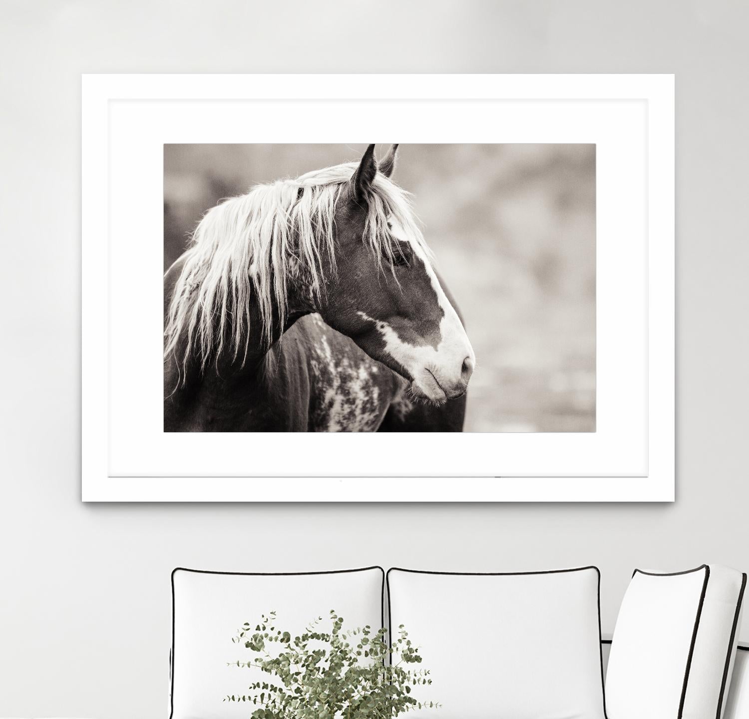 Wild Paint by Erle KaCee on GIANT ART - white animals