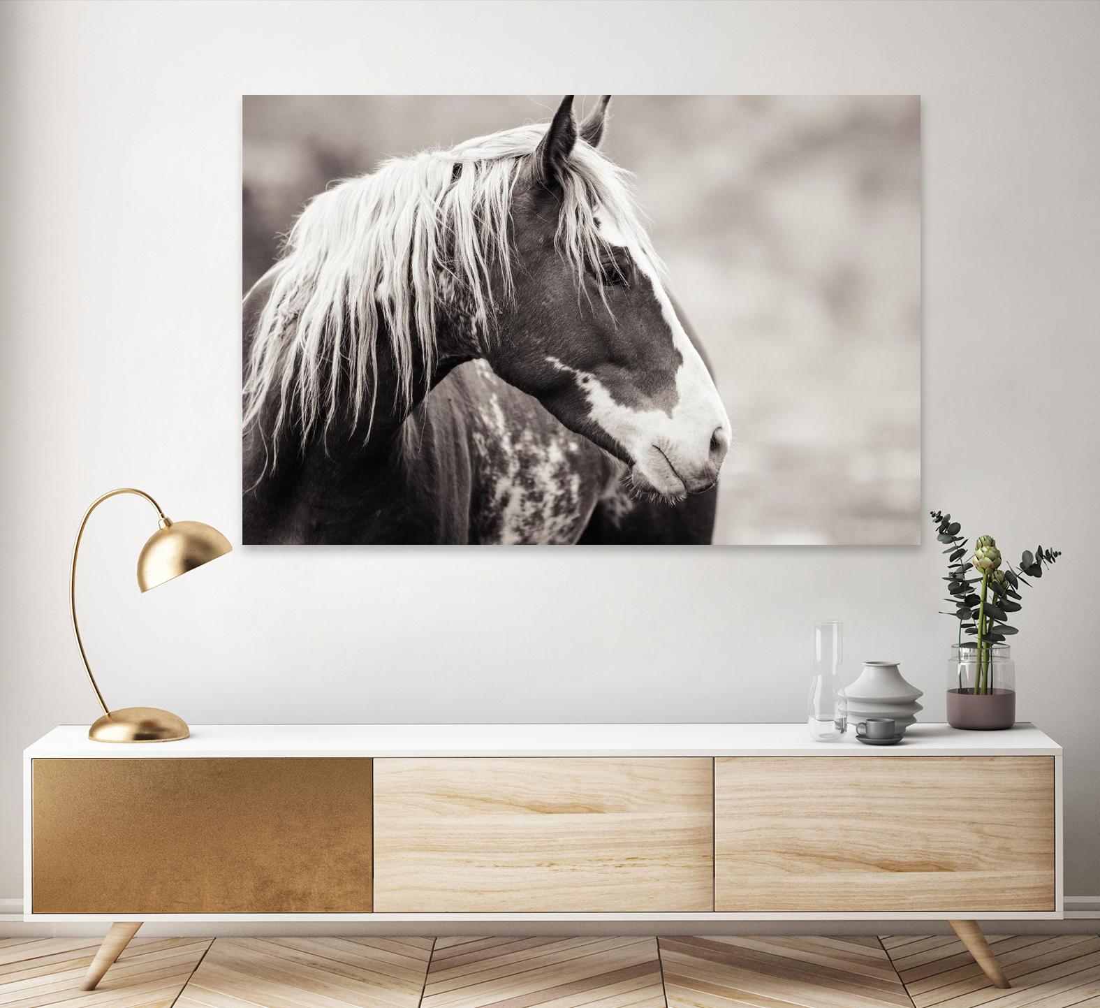 Wild Paint by Erle KaCee on GIANT ART - white animals