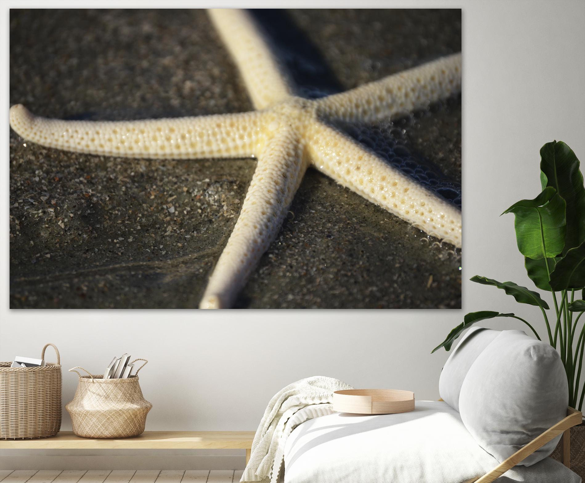 Starfish by Lori Prenner on GIANT ART - brown nautical