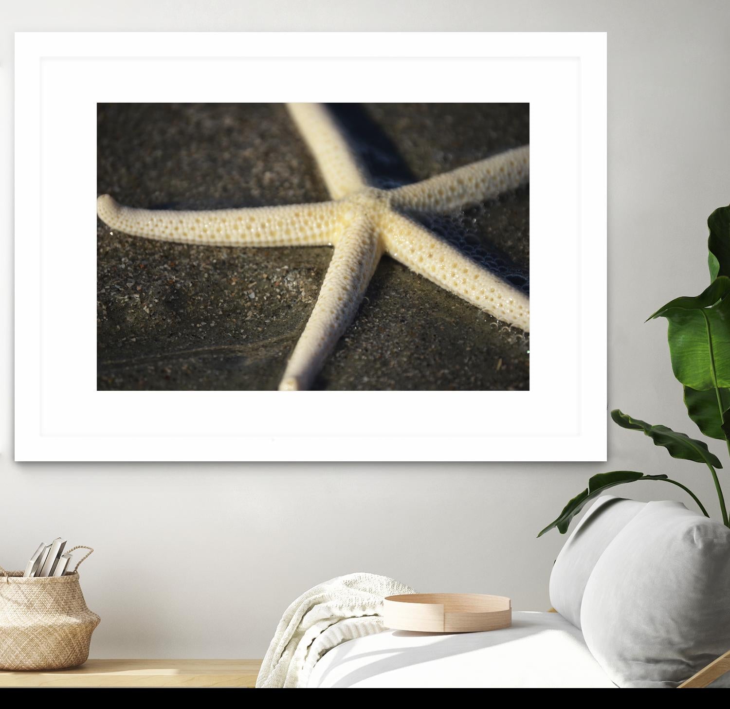 Starfish by Lori Prenner on GIANT ART - beige costal étoile de mer