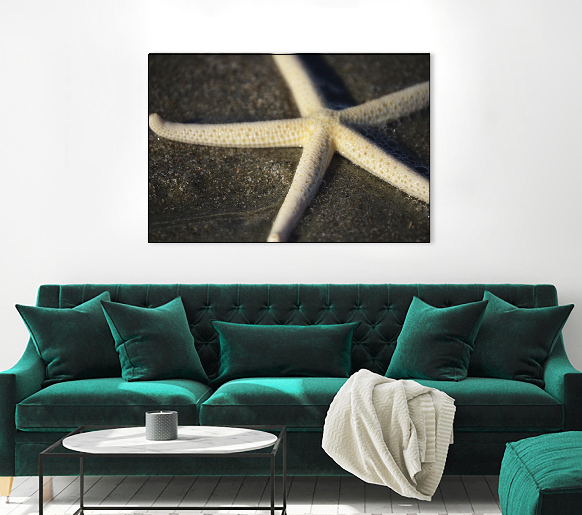 Starfish by Lori Prenner on GIANT ART - brown nautical