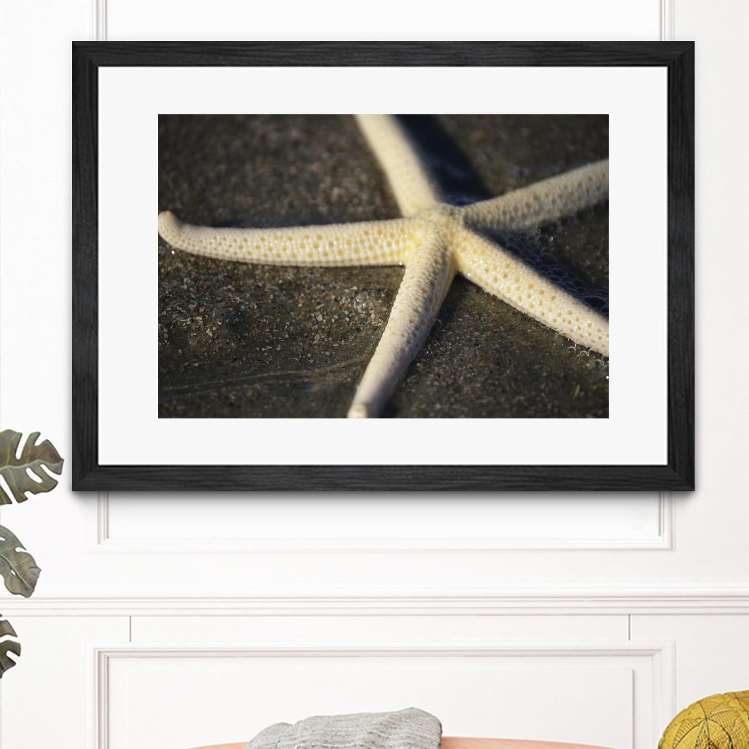Starfish by Lori Prenner on GIANT ART - beige costal étoile de mer