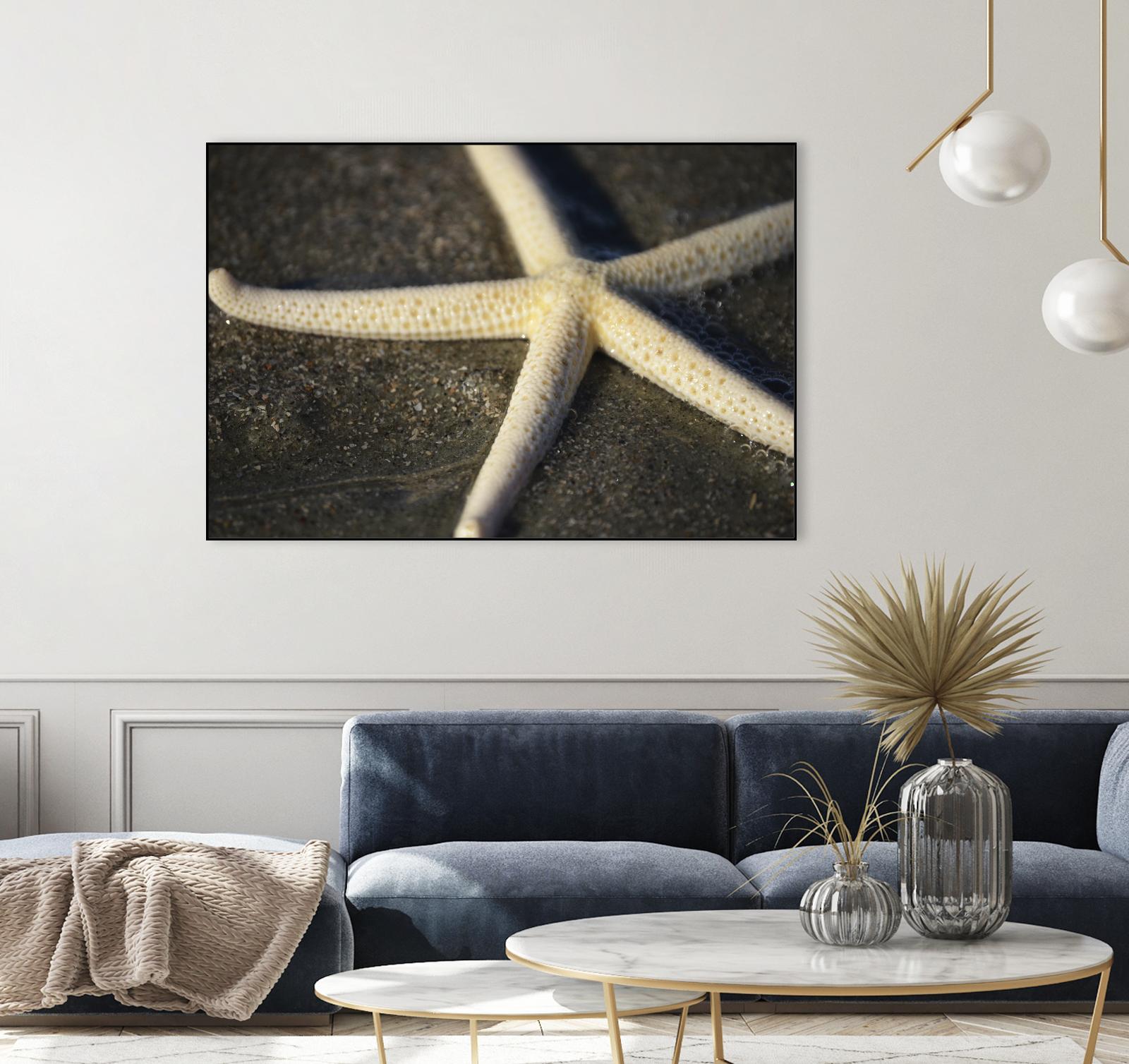 Starfish by Lori Prenner on GIANT ART - brown nautical