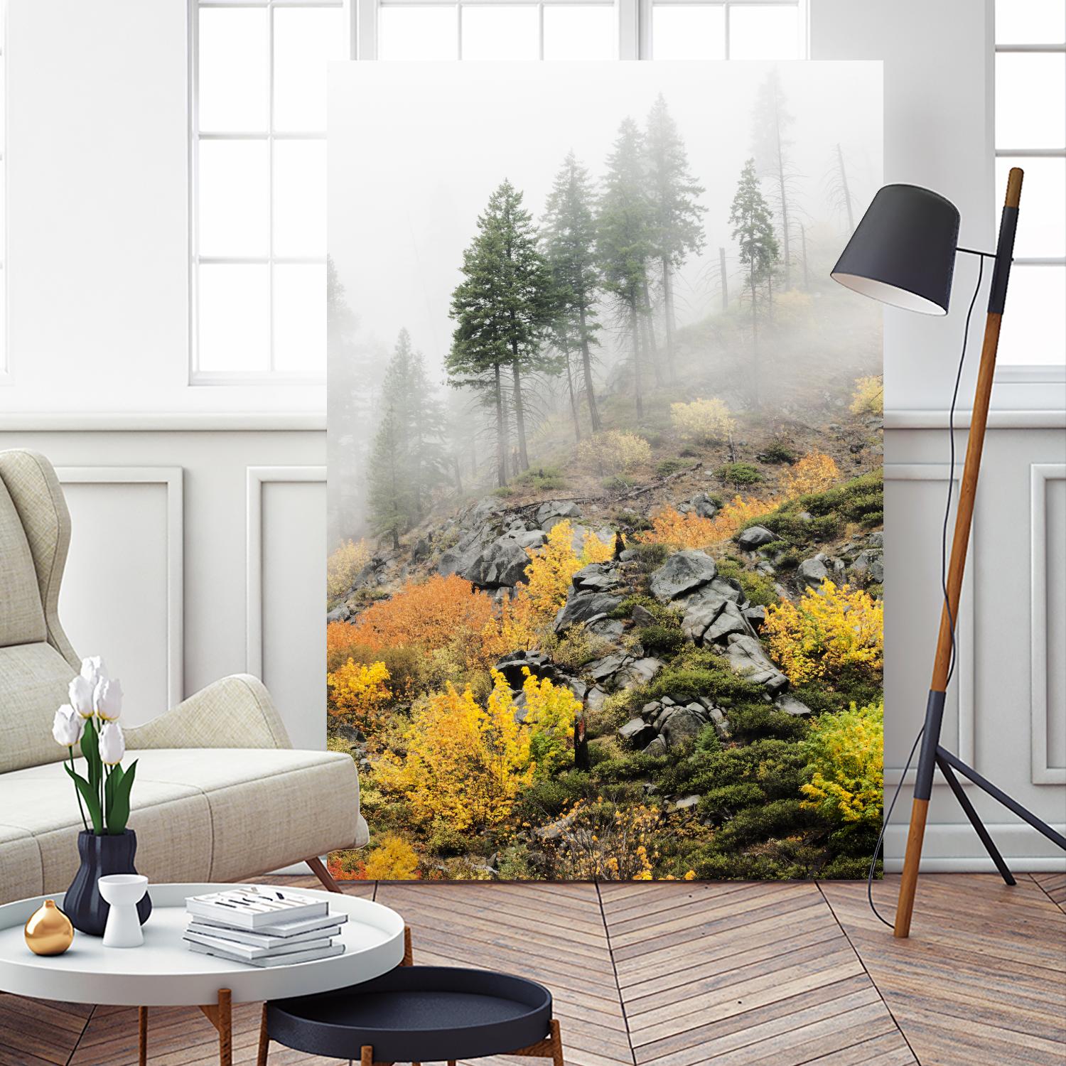 Photograph 8 by Aaron Matheson on GIANT ART - green landscape