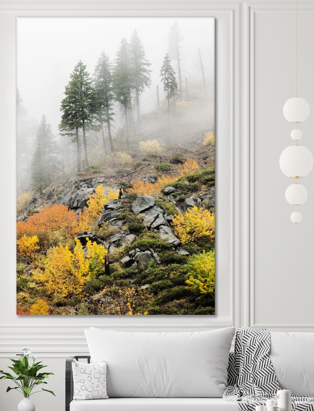 Photograph 8 by Aaron Matheson on GIANT ART - green landscape