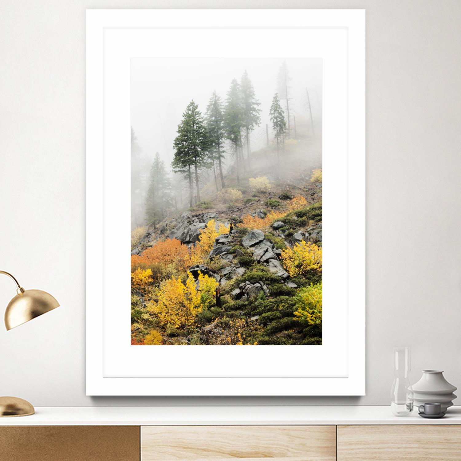 Photograph 8 by Aaron Matheson on GIANT ART - green landscape