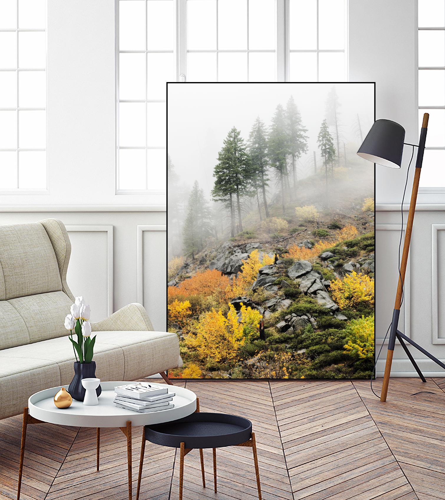 Photograph 8 by Aaron Matheson on GIANT ART - green landscape