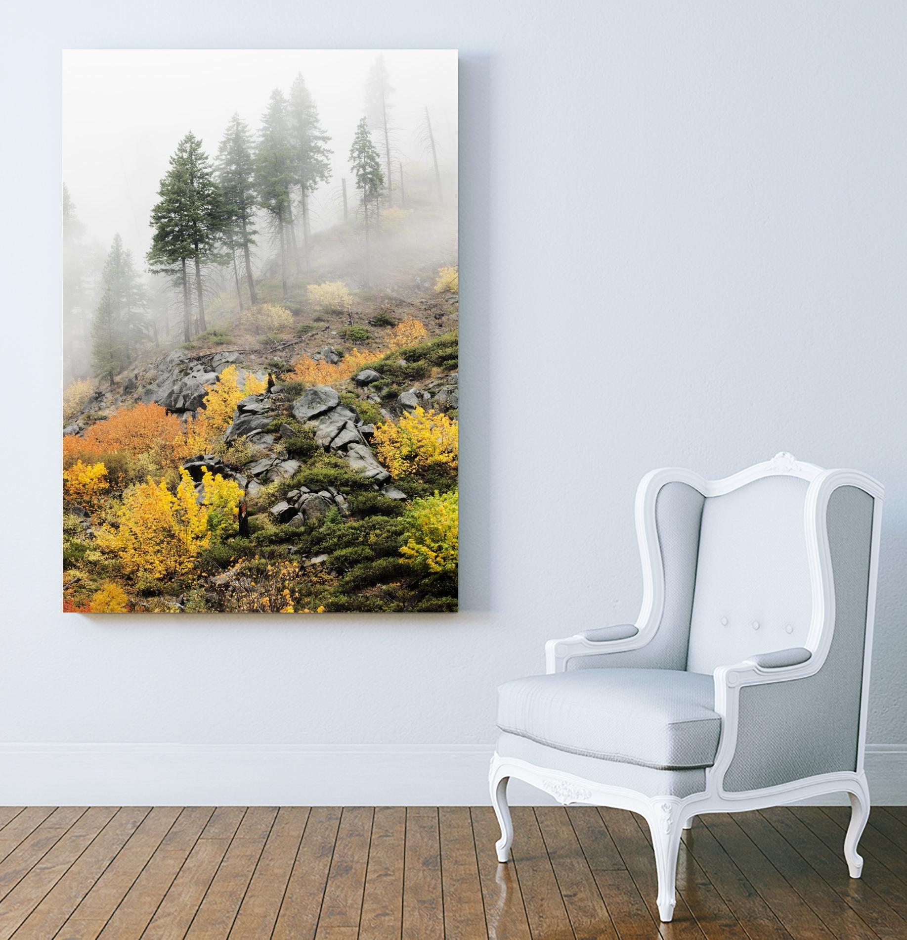 Photograph 8 by Aaron Matheson on GIANT ART - green landscape