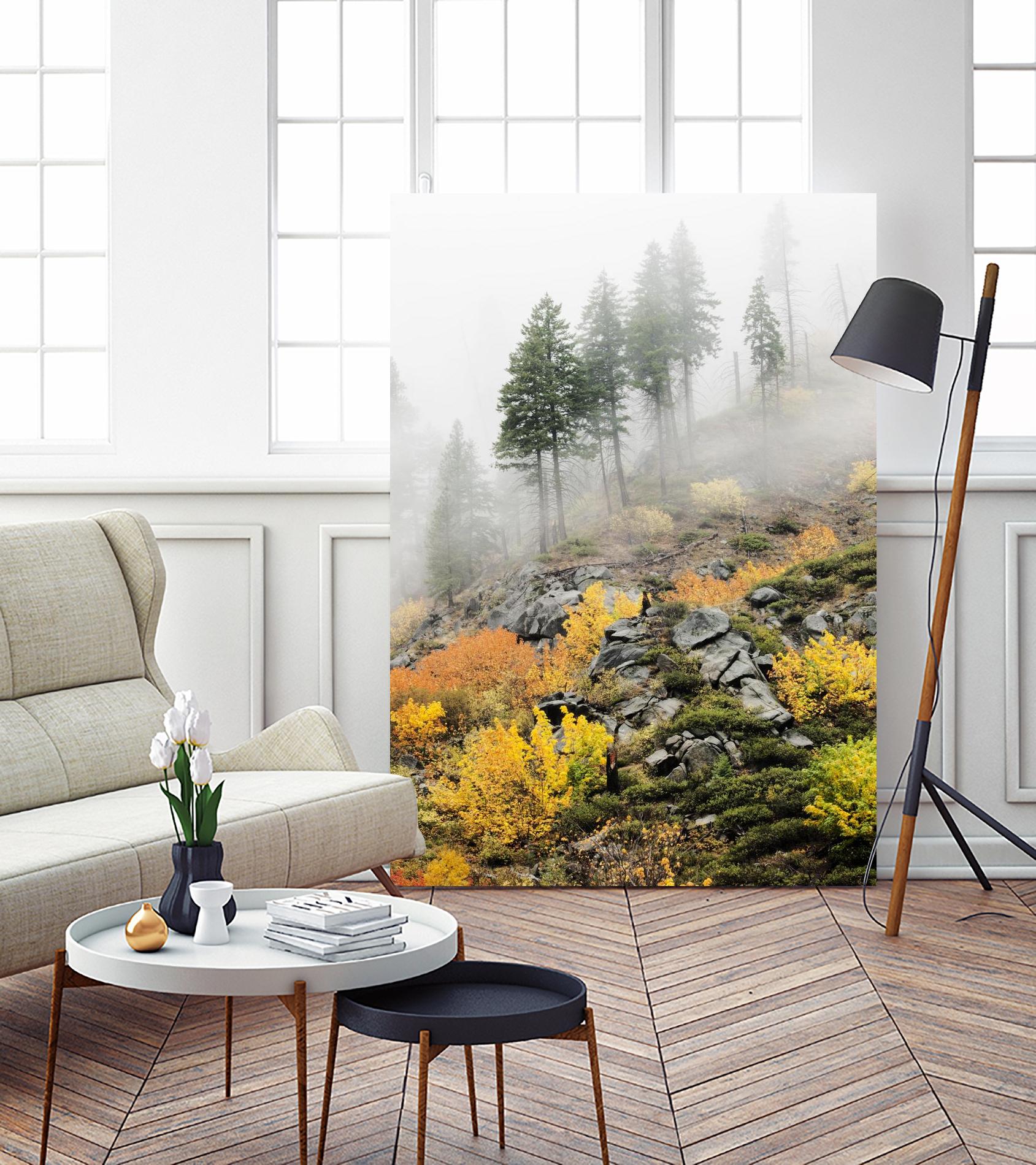 Photograph 8 by Aaron Matheson on GIANT ART - green landscape