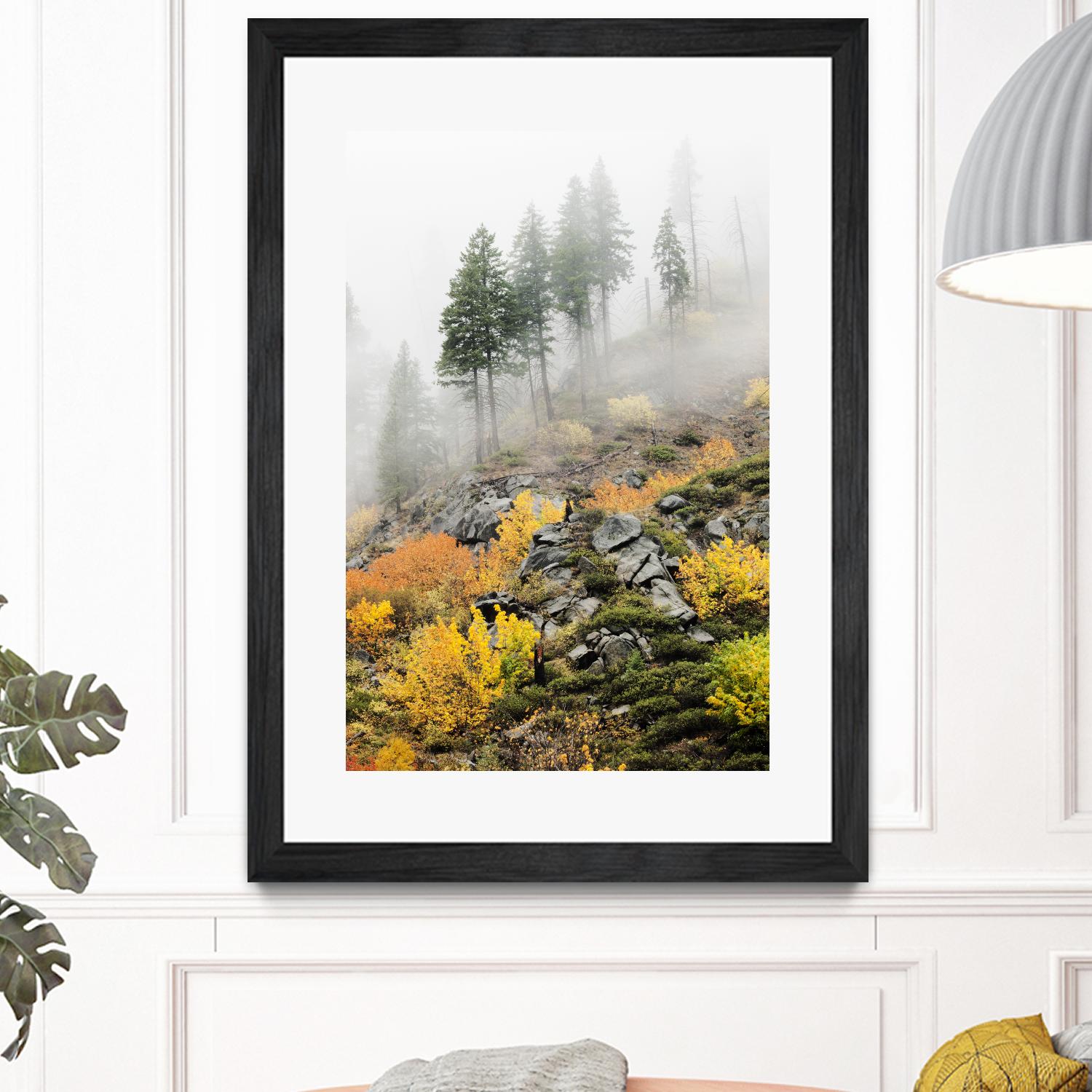 Photograph 8 by Aaron Matheson on GIANT ART - green landscape