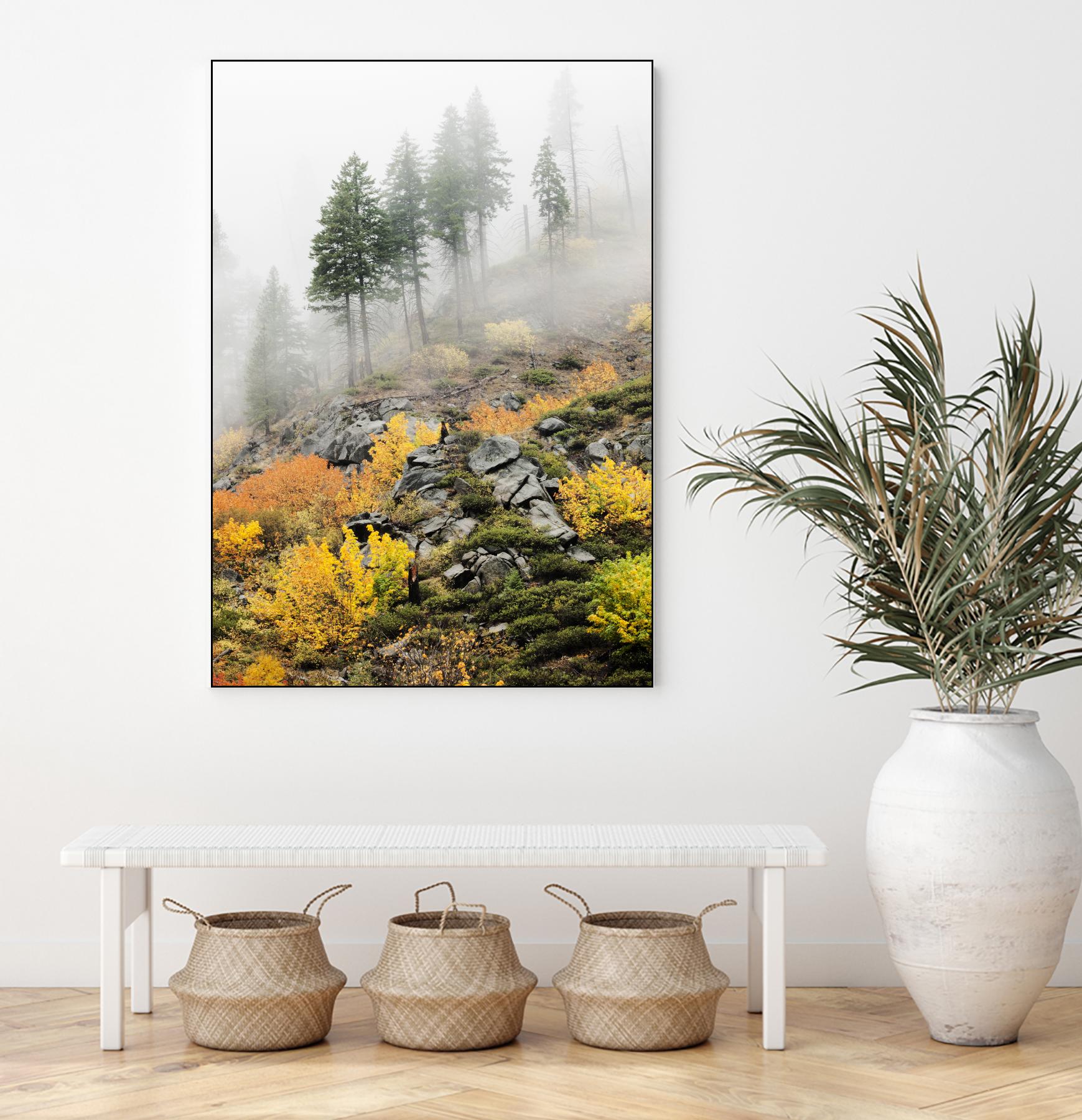 Photograph 8 by Aaron Matheson on GIANT ART - green landscape