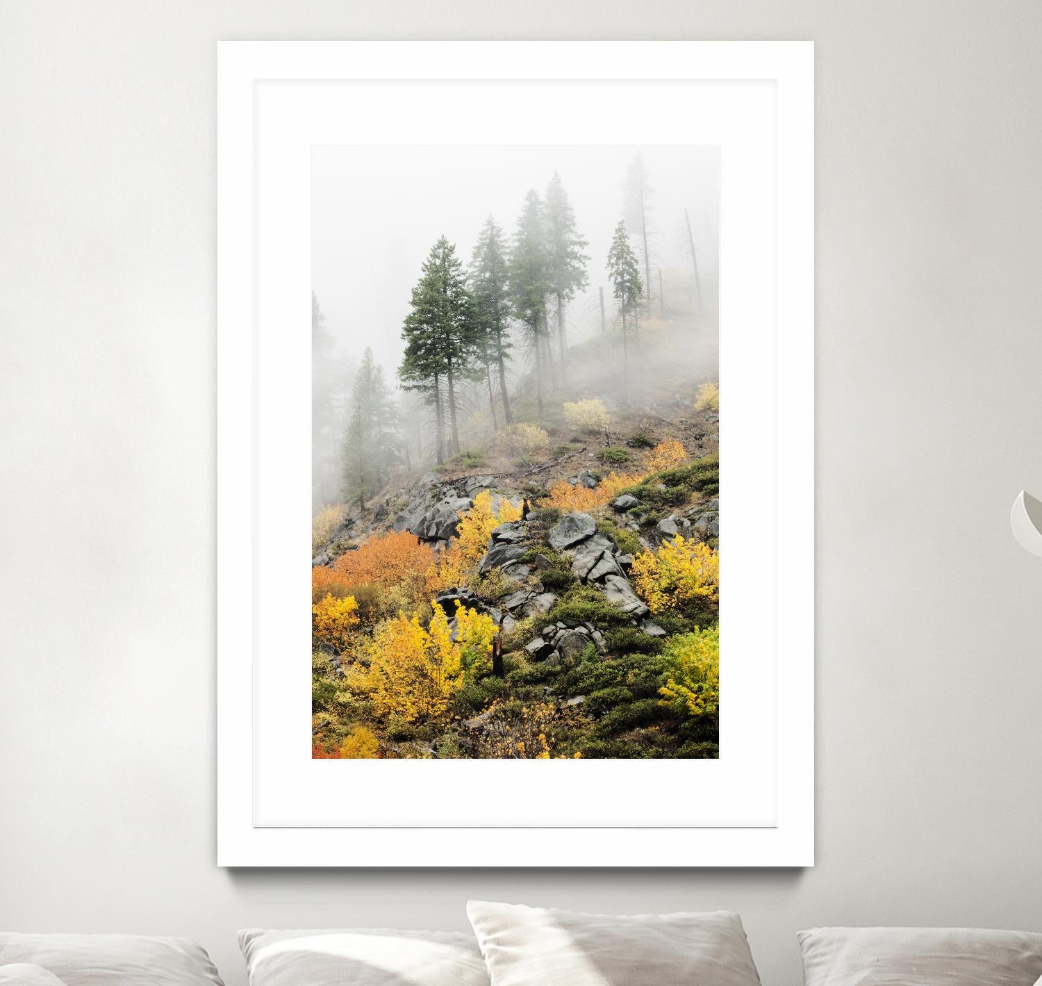 Photograph 8 by Aaron Matheson on GIANT ART - green landscape