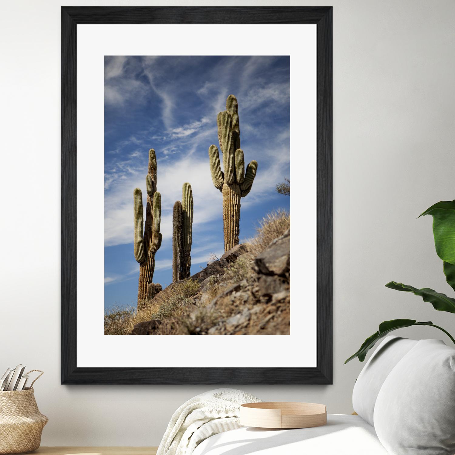 Photograph 9 by Aaron Matheson on GIANT ART - green landscape