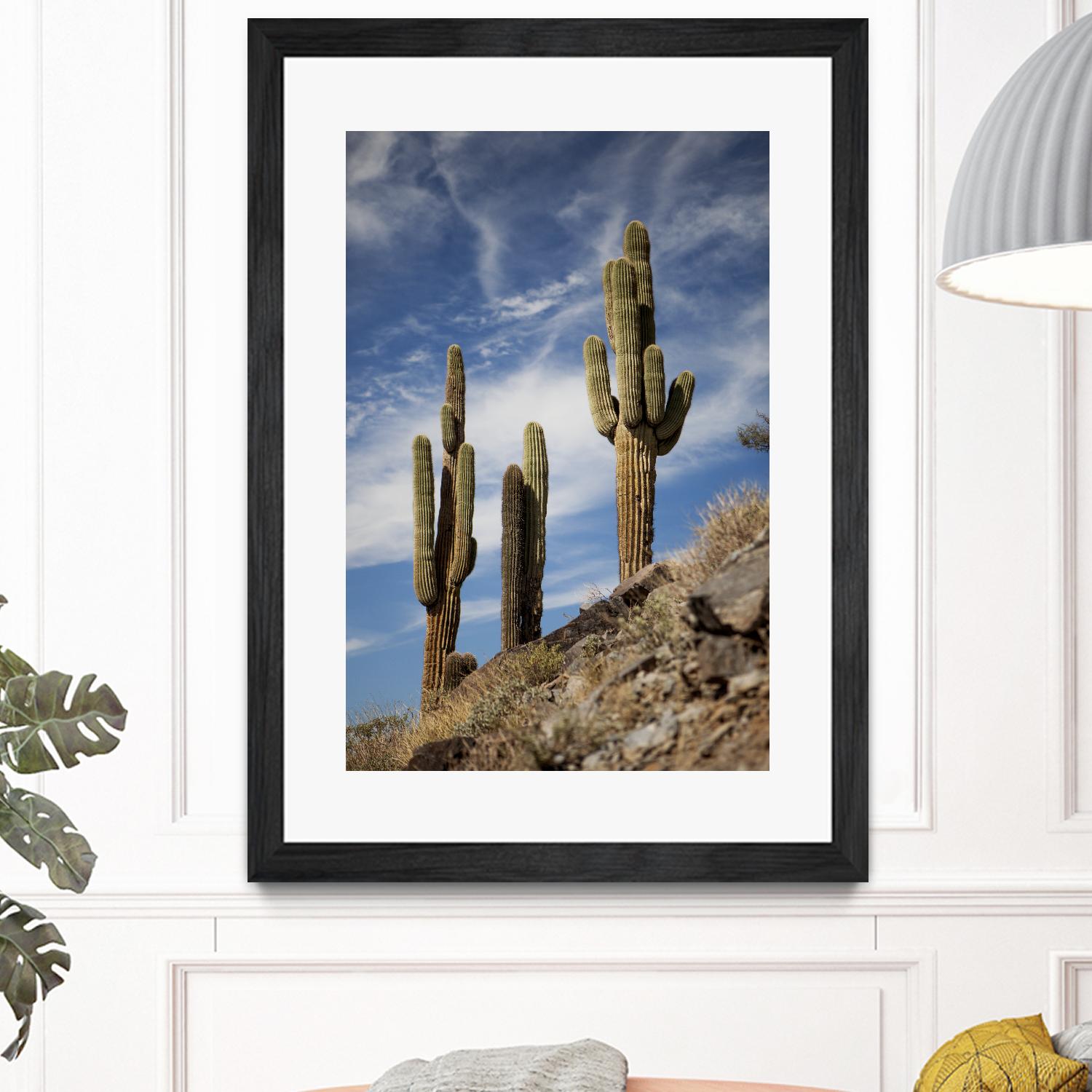 Photograph 9 by Aaron Matheson on GIANT ART - green landscape