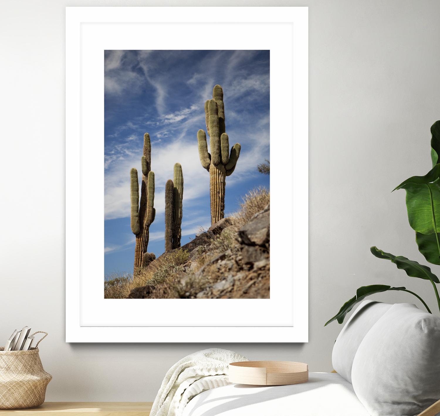 Photograph 9 by Aaron Matheson on GIANT ART - green landscape