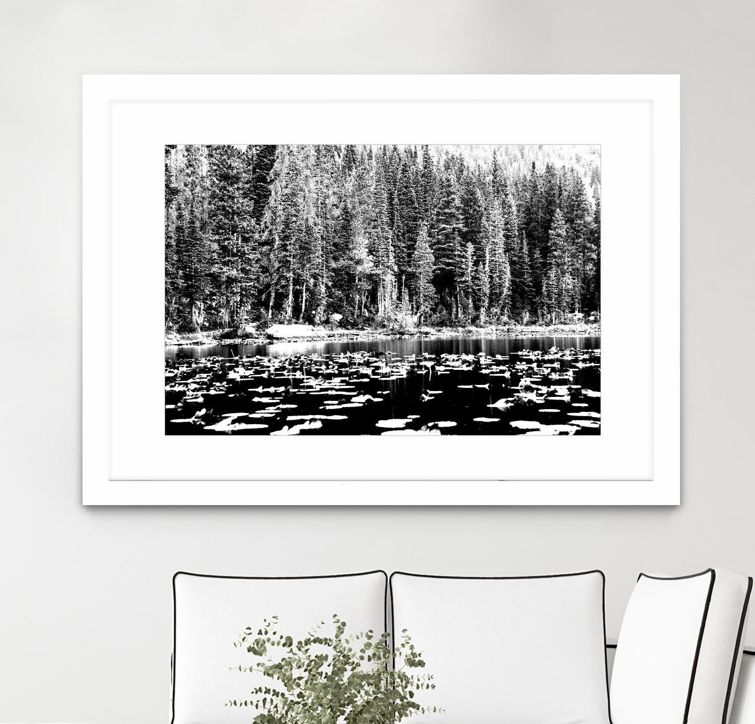 Green Dreams by Aaron Matheson on GIANT ART - white landscape