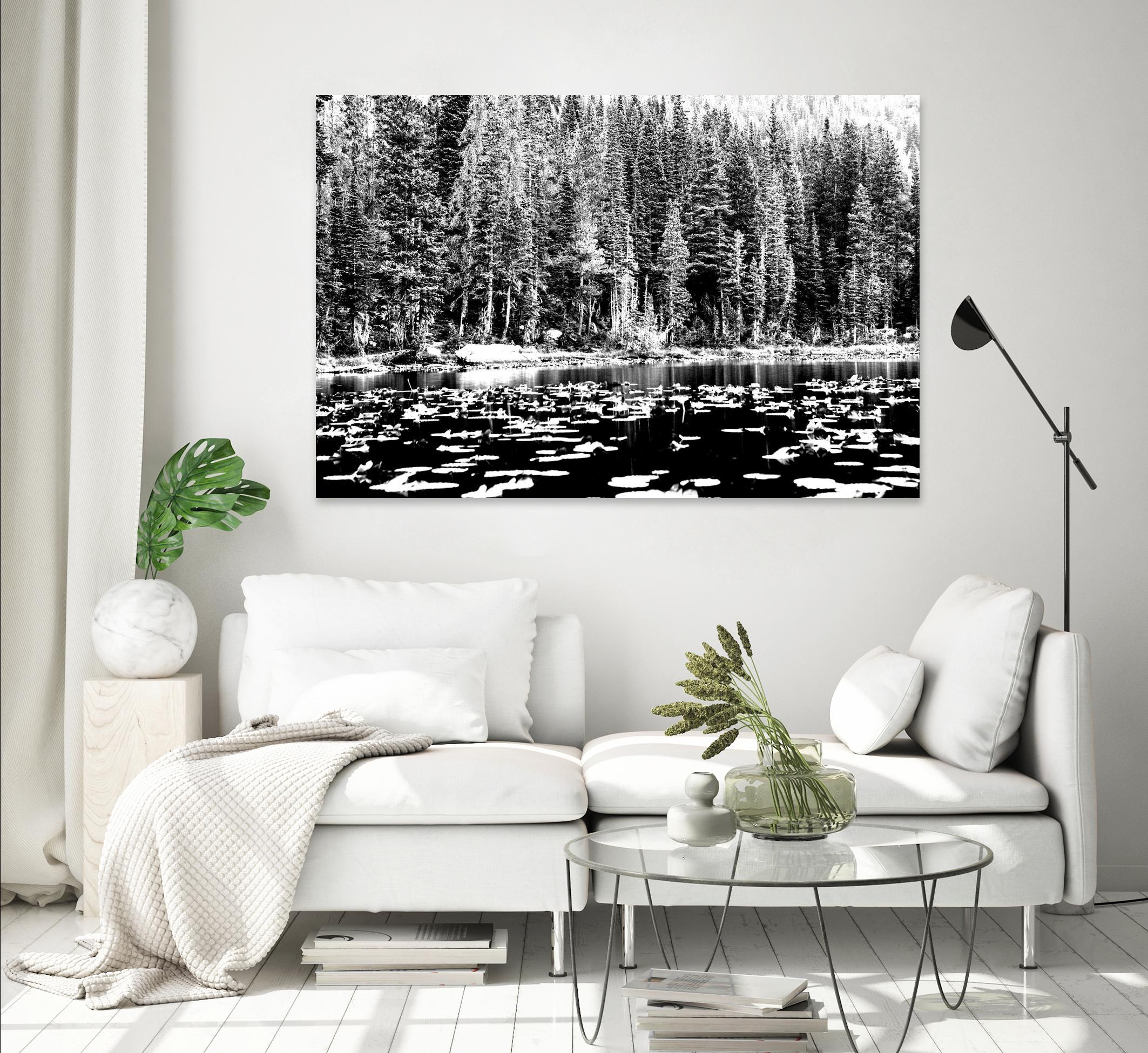 Green Dreams by Aaron Matheson on GIANT ART - white landscape