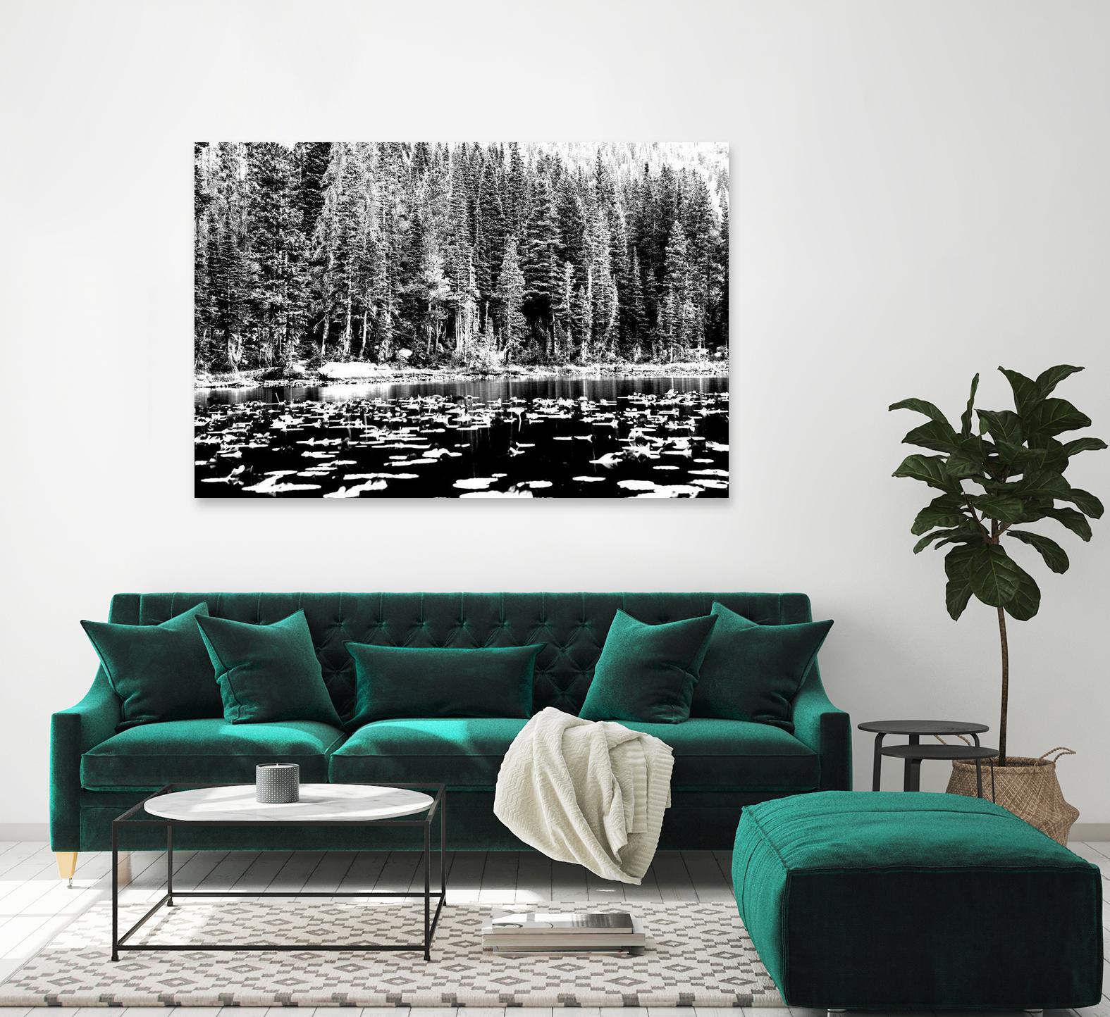 Green Dreams by Aaron Matheson on GIANT ART - white landscape